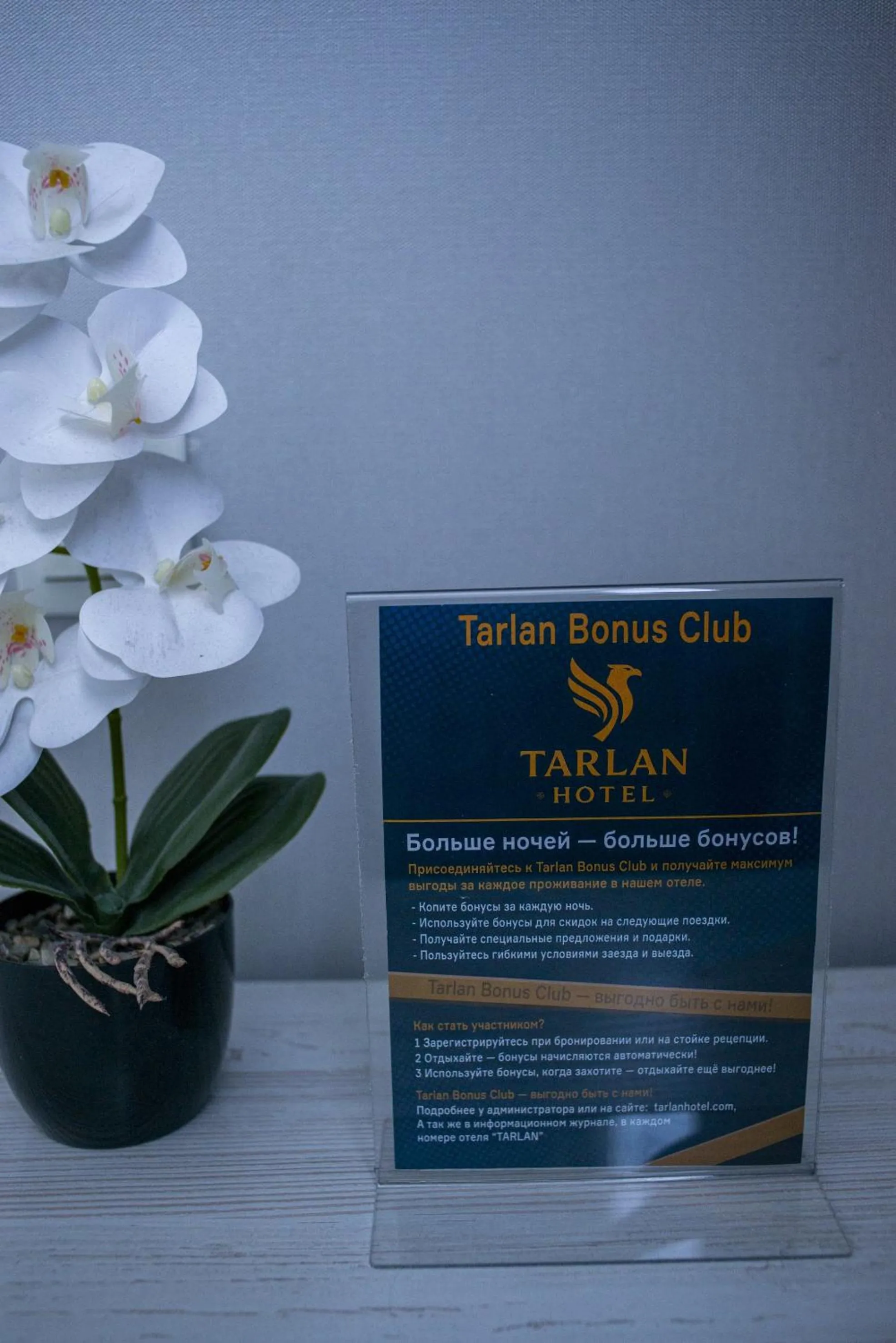 Property logo or sign in Tarlan Hotel