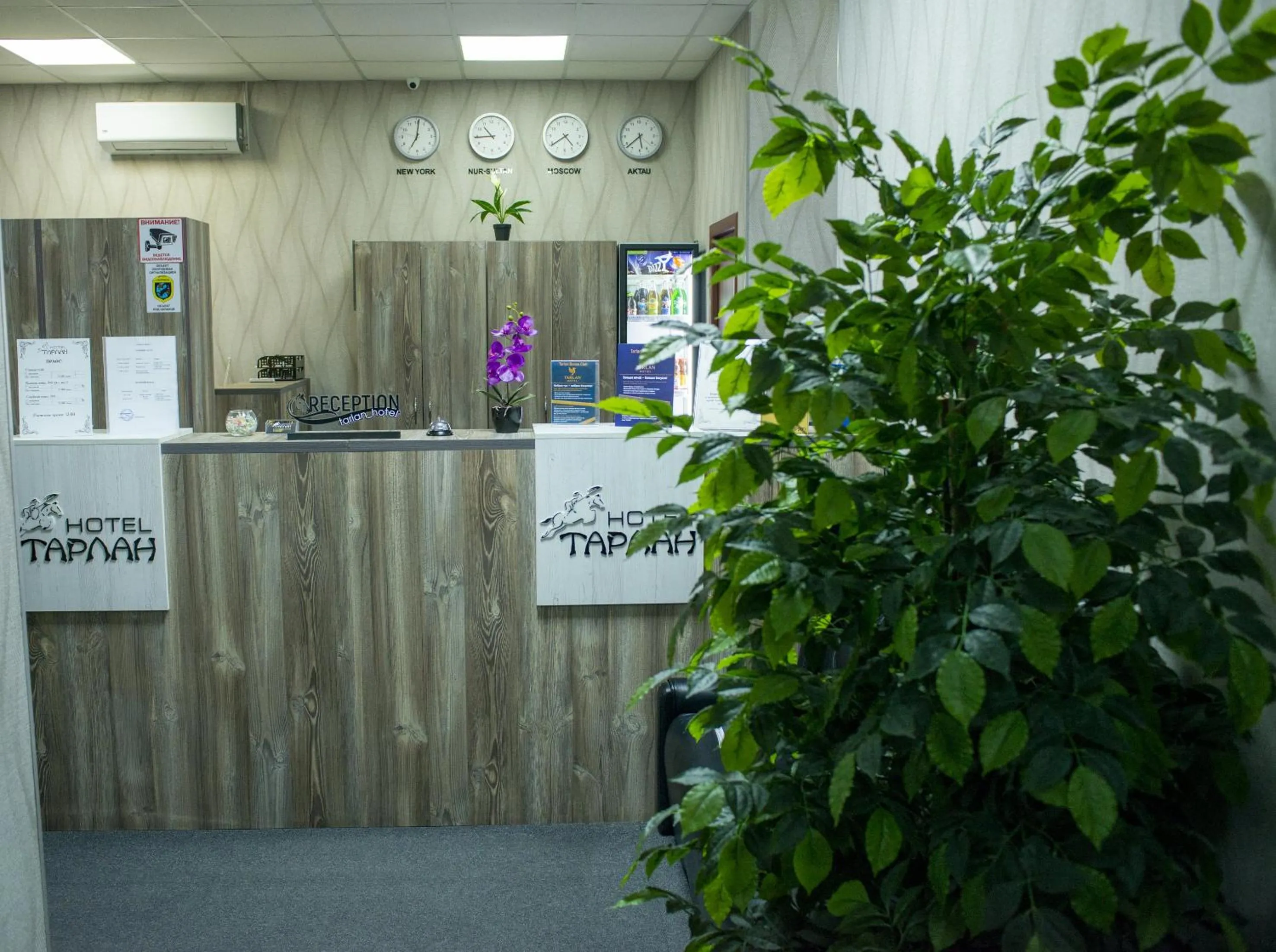 Lobby or reception in Tarlan Hotel