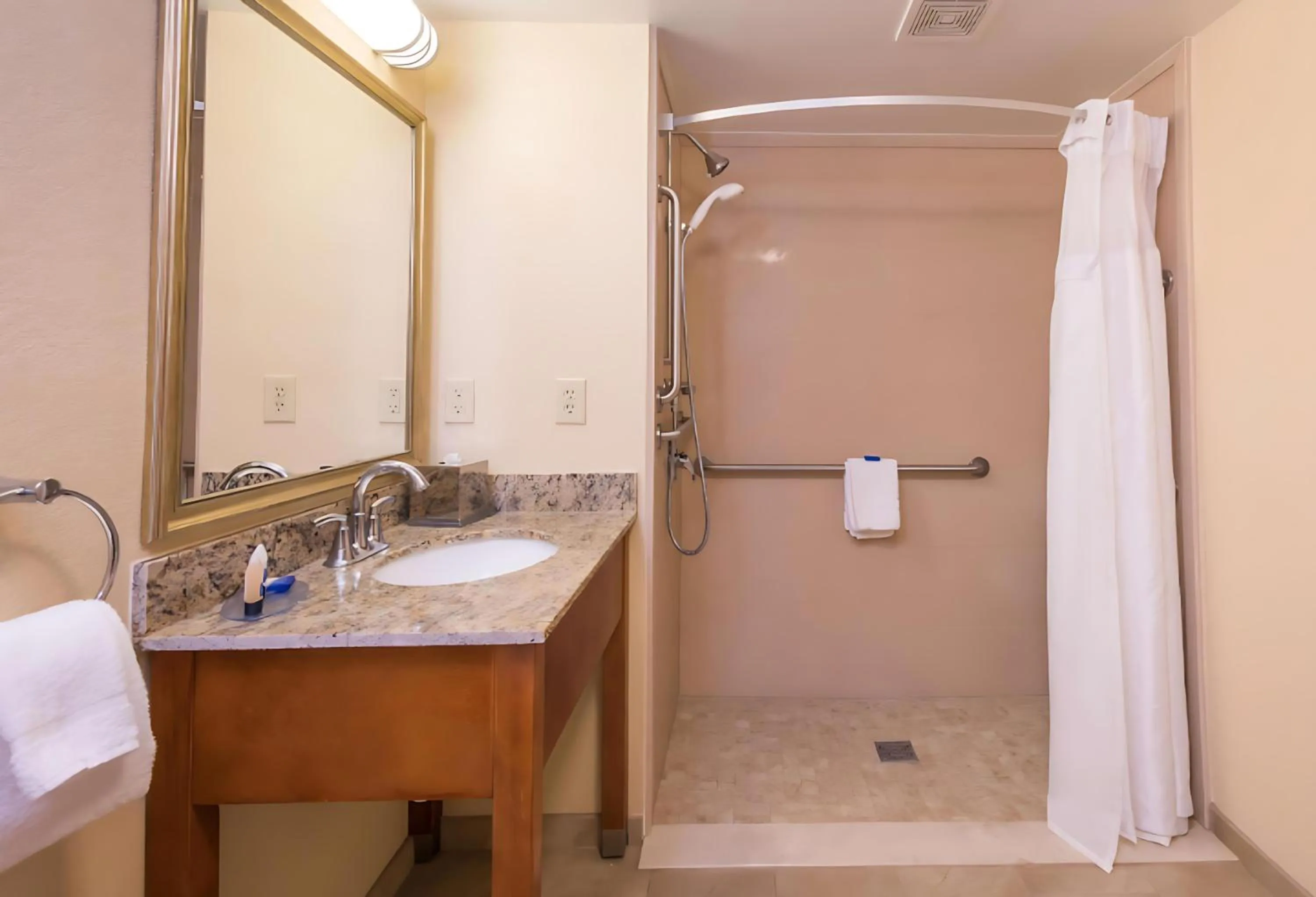 Bathroom in Best Western Charleston Inn