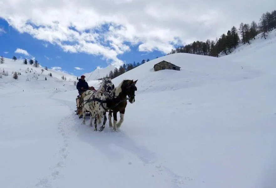 Résidence Château des Magnans by Nevesol