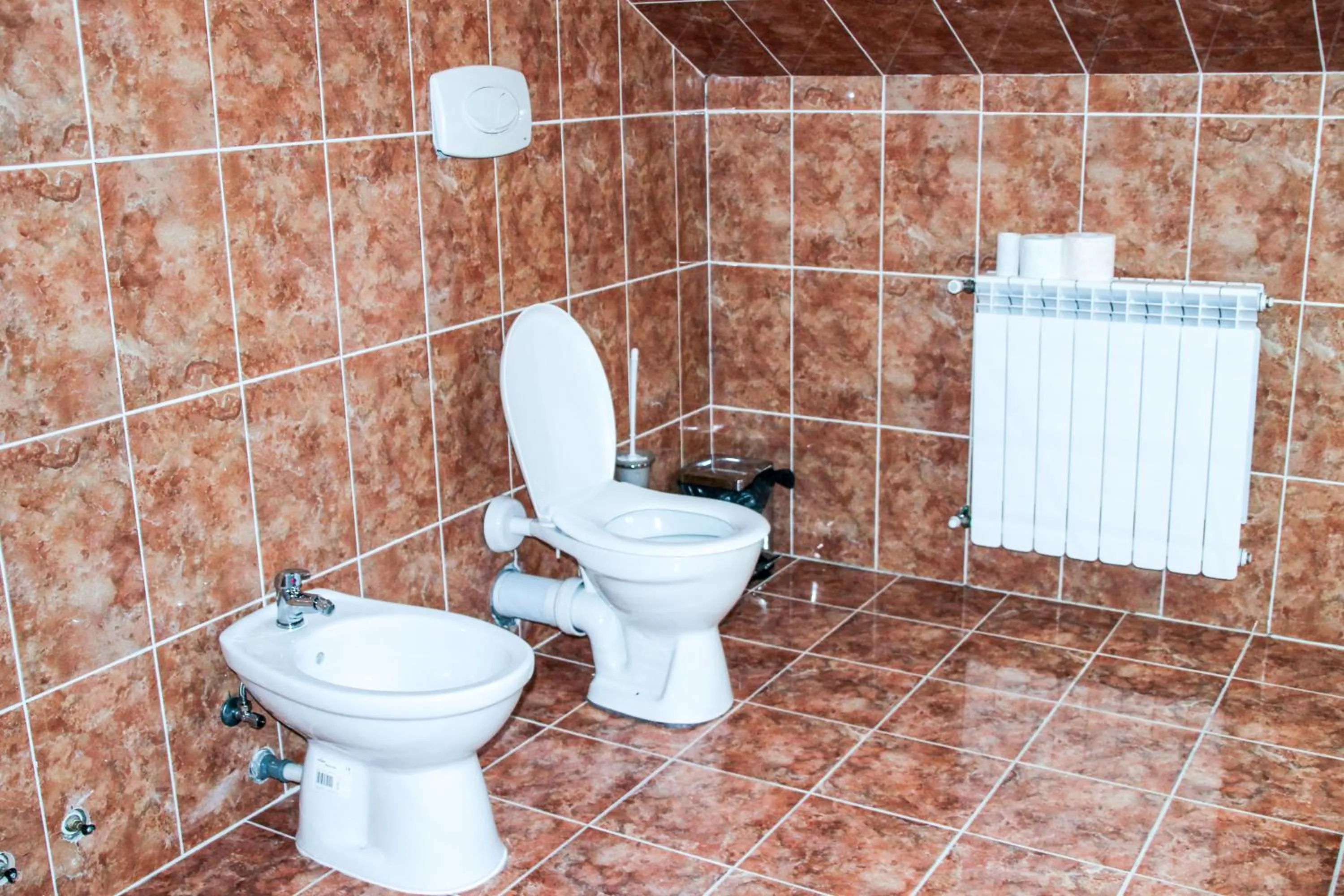 Bathroom in Hotel Corina
