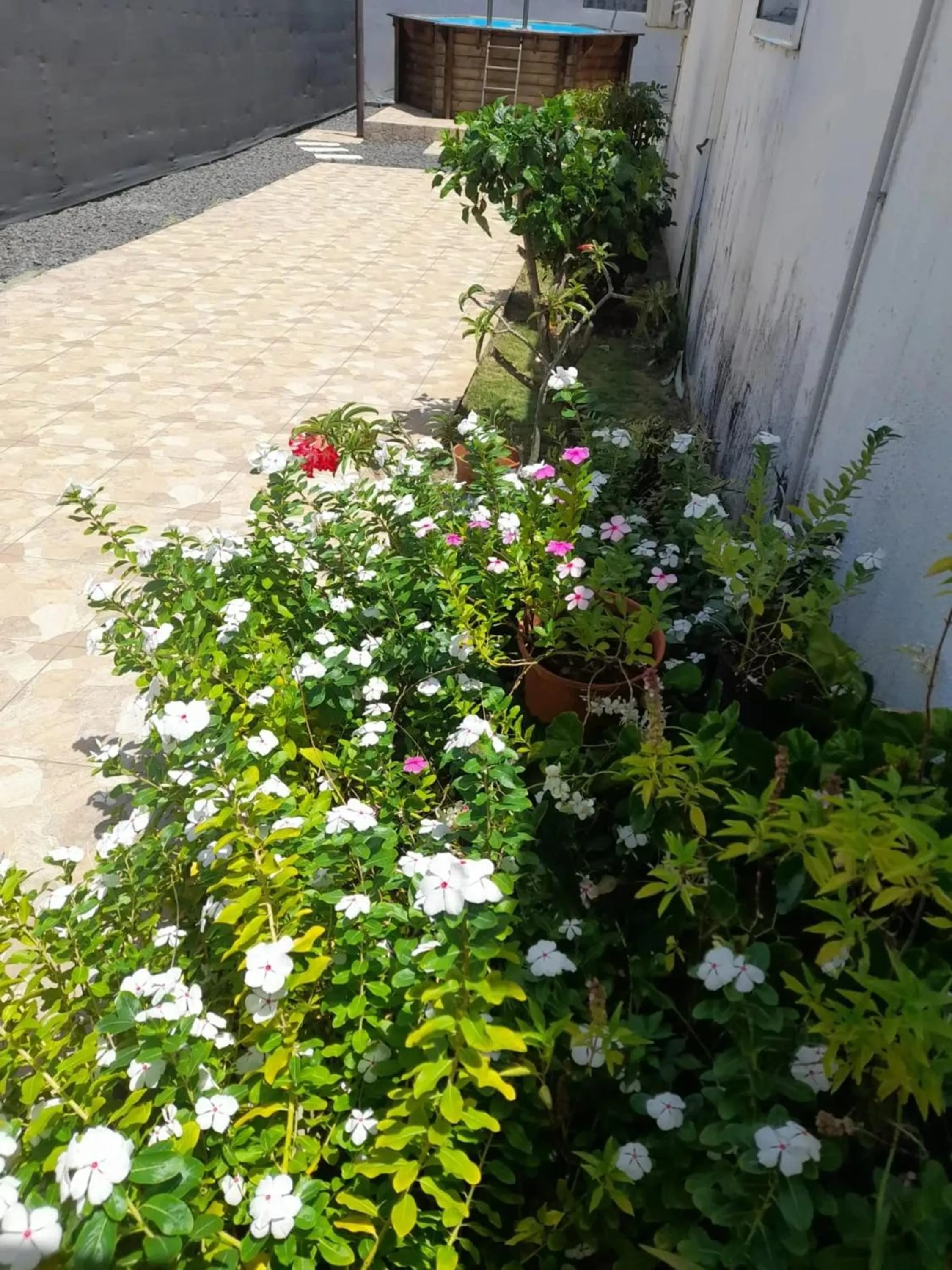 Garden in Maison élégante à Petit Bourg + Piscine