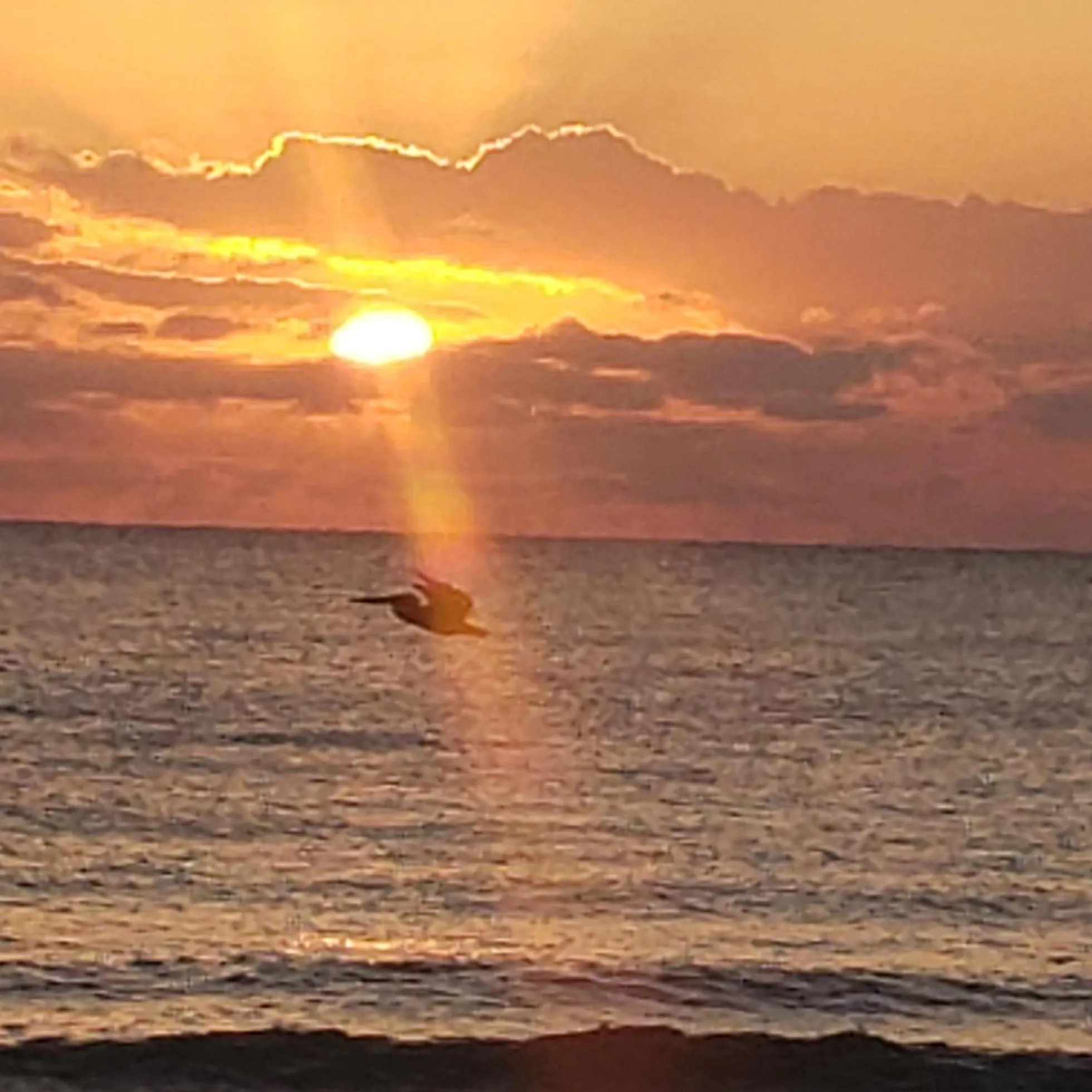 Sunset in Pal's on the beach - Dangriga, Belize