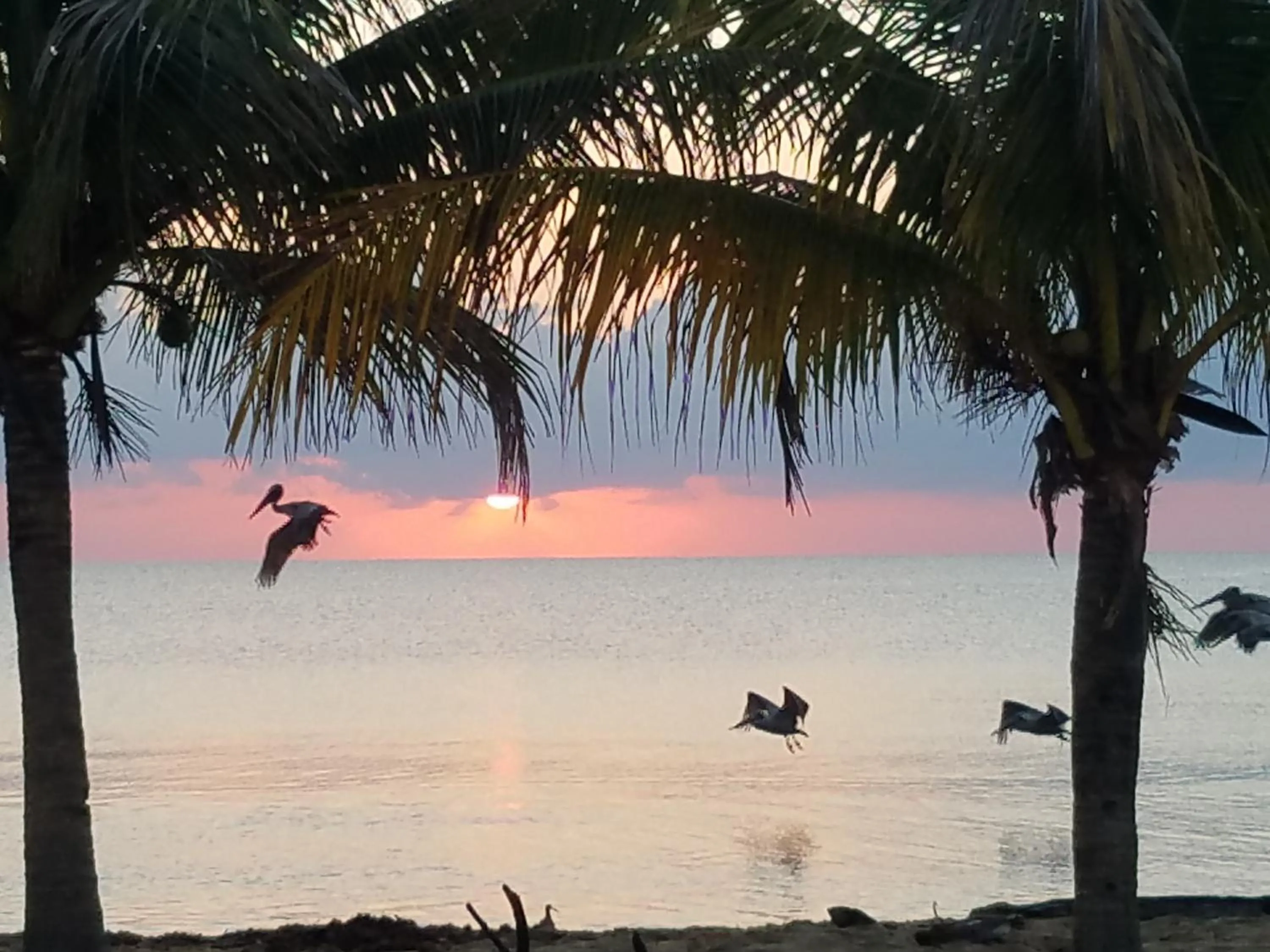 Natural landscape in Pal's on the beach - Dangriga, Belize
