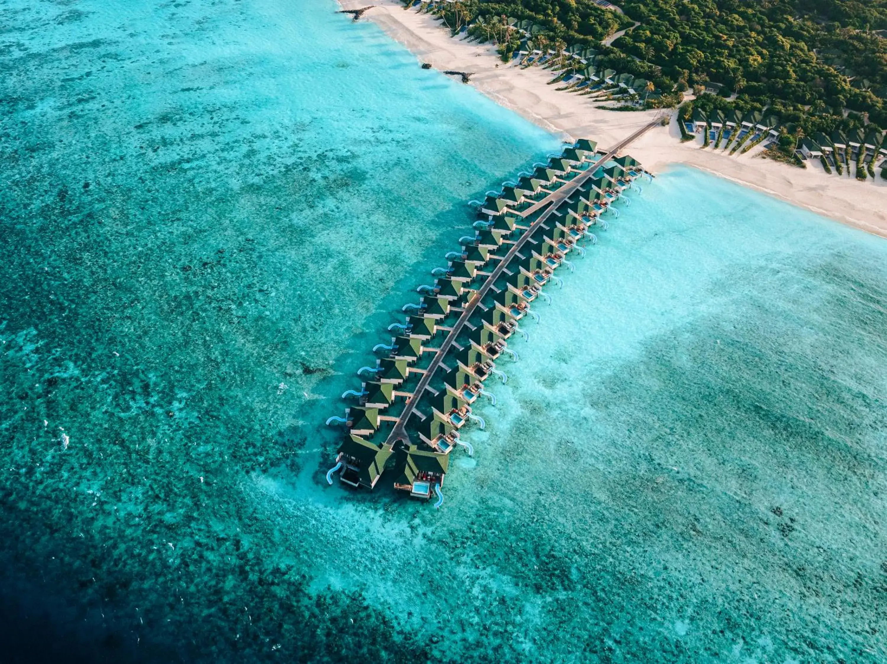 Siyam World Maldives - 24-Hour Premium All-inclusive with Free Transfer Siyam World Maldives - 24-Hour Premium All-inclusive with Free Transfer