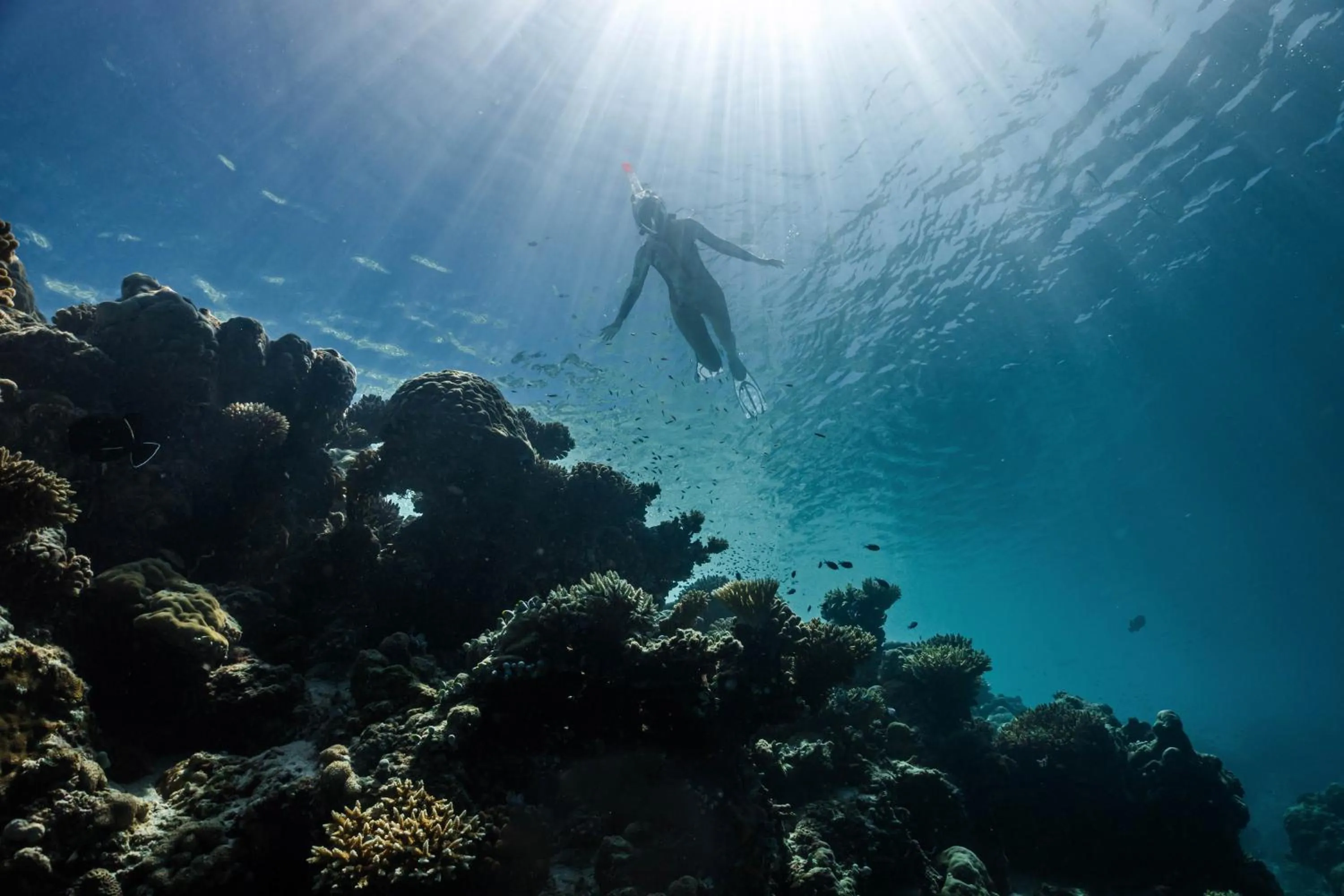 Activities in Siyam World Maldives - 24-Hour Premium All-inclusive with Free Transfer