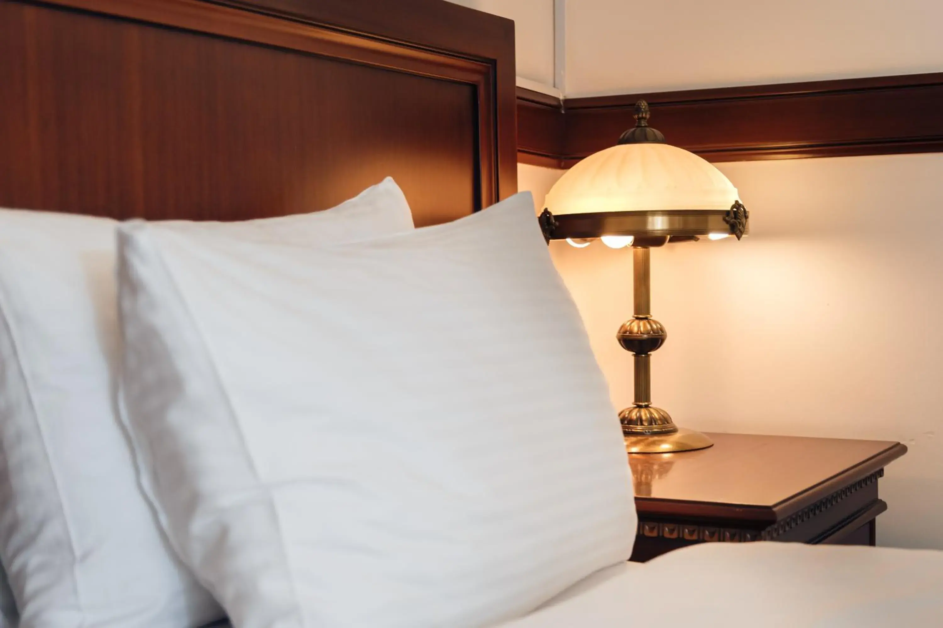 Superior Twin Room - single occupancy in Kazakhstan Express Superior Twin Room - single occupancy in Kazakhstan Express