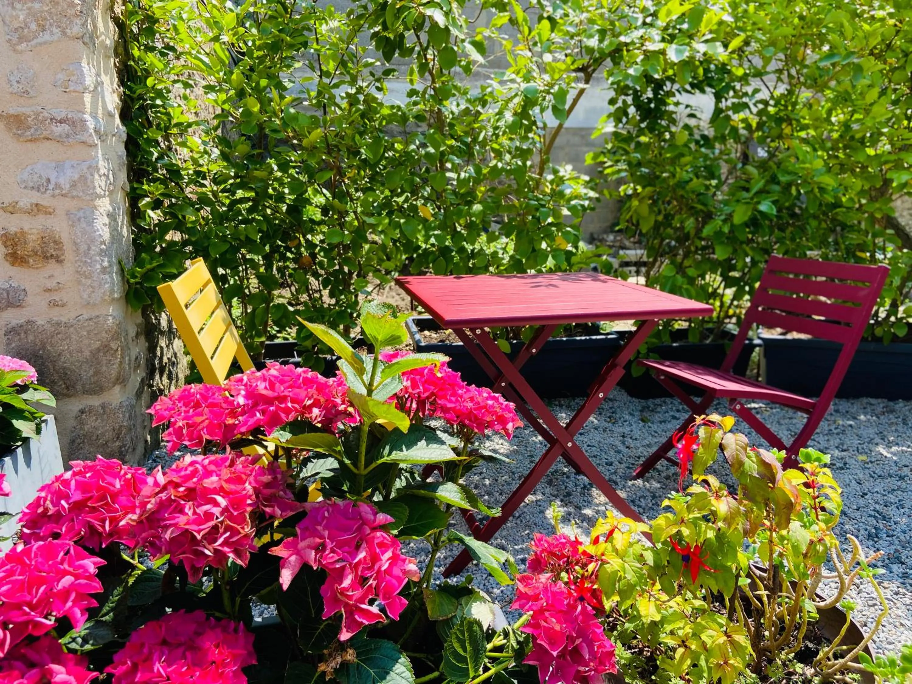 Garden in Hotel Saint-Michel