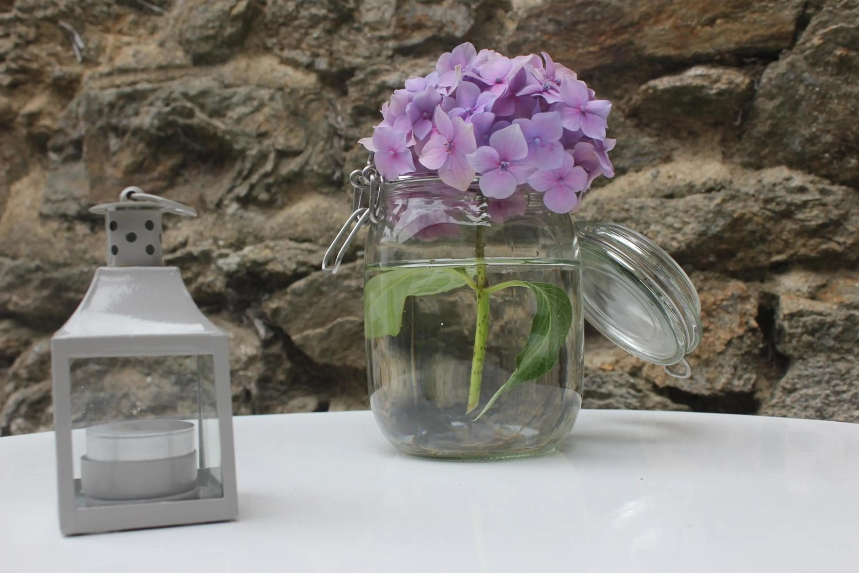 Garden in Hotel Saint-Michel