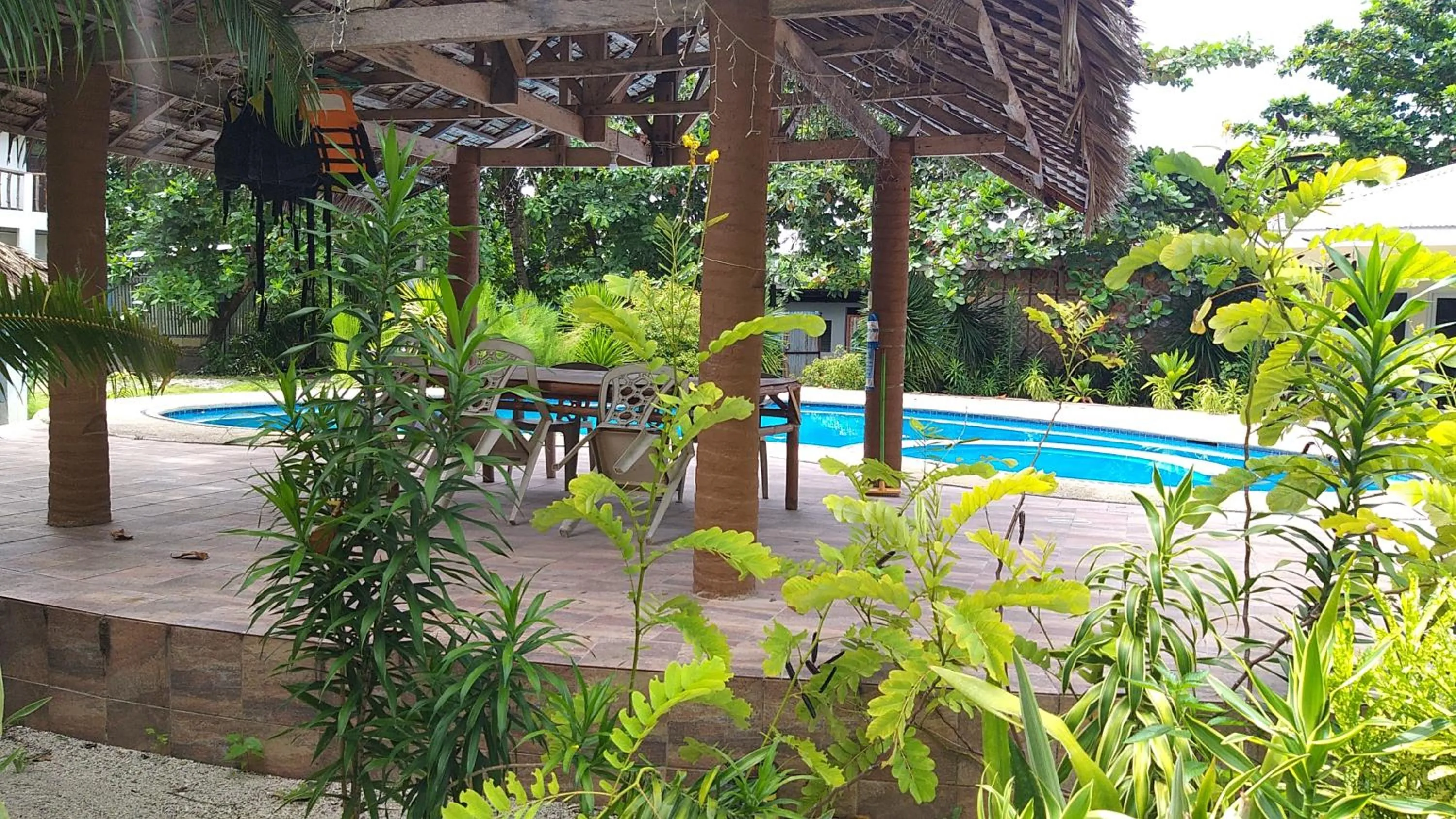 Pool view in The Shark's Tail Dive Resort