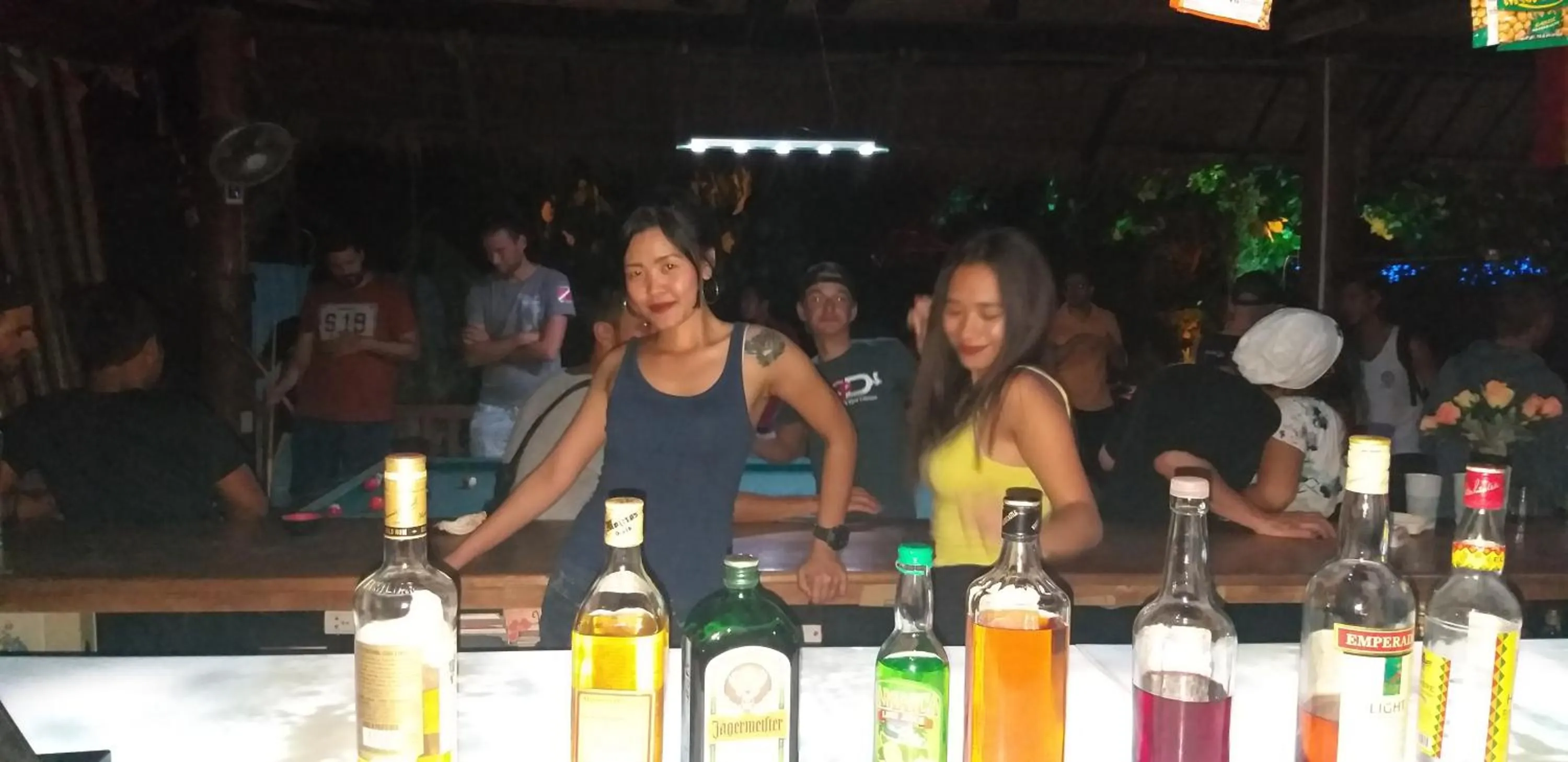 Lounge or bar in The Shark's Tail Dive Resort