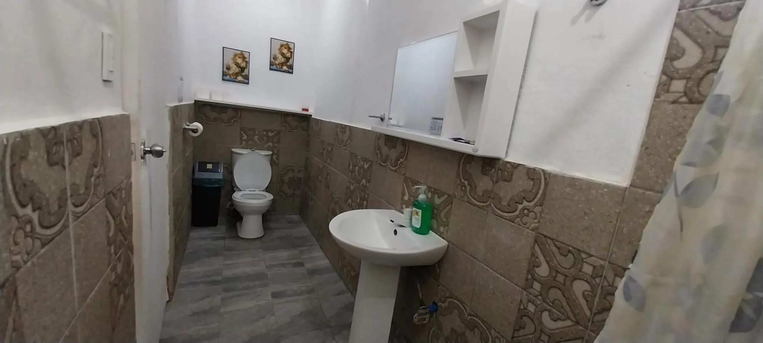 Toilet in The Shark's Tail Dive Resort