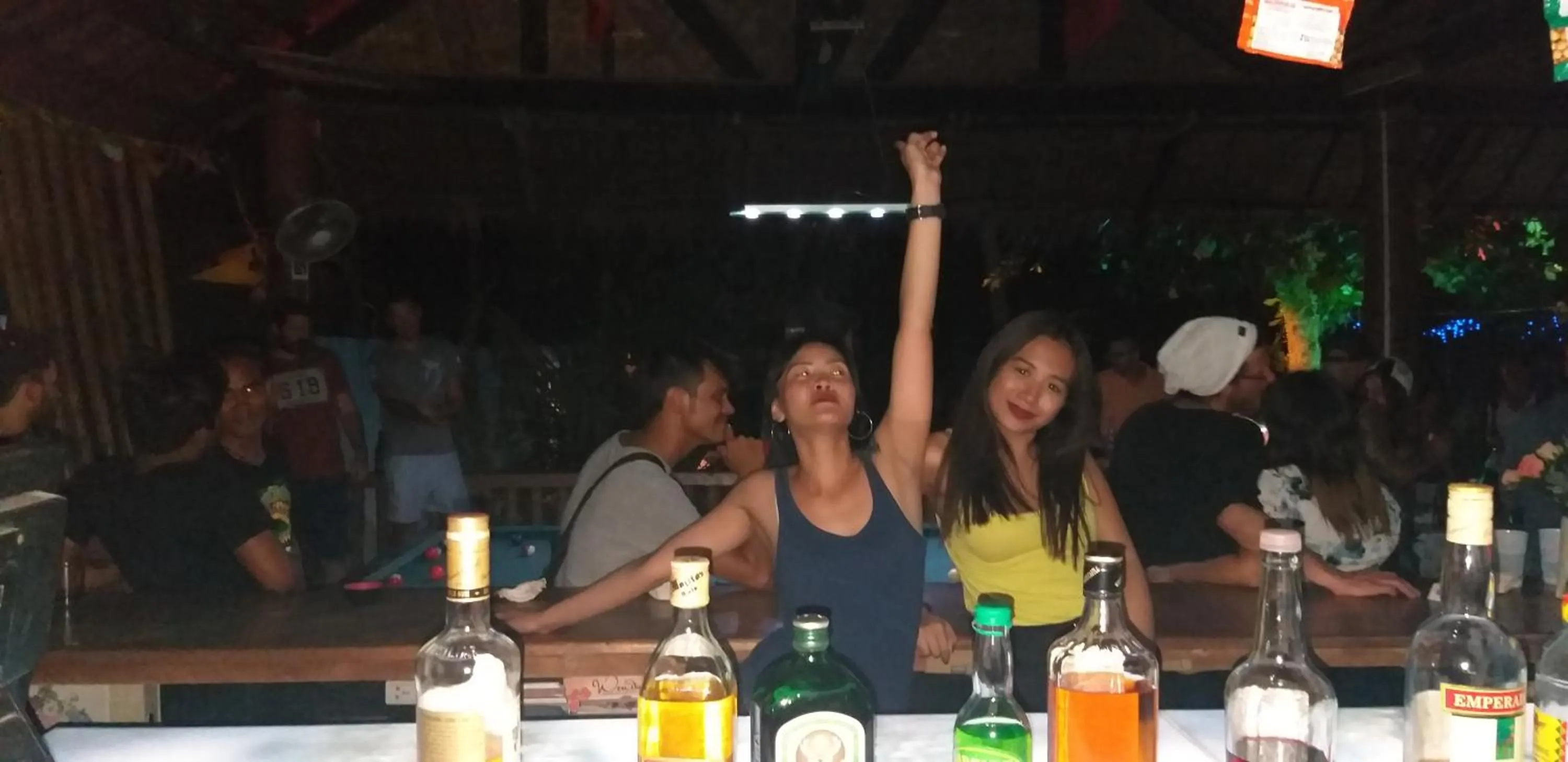 Lounge or bar in The Shark's Tail Dive Resort