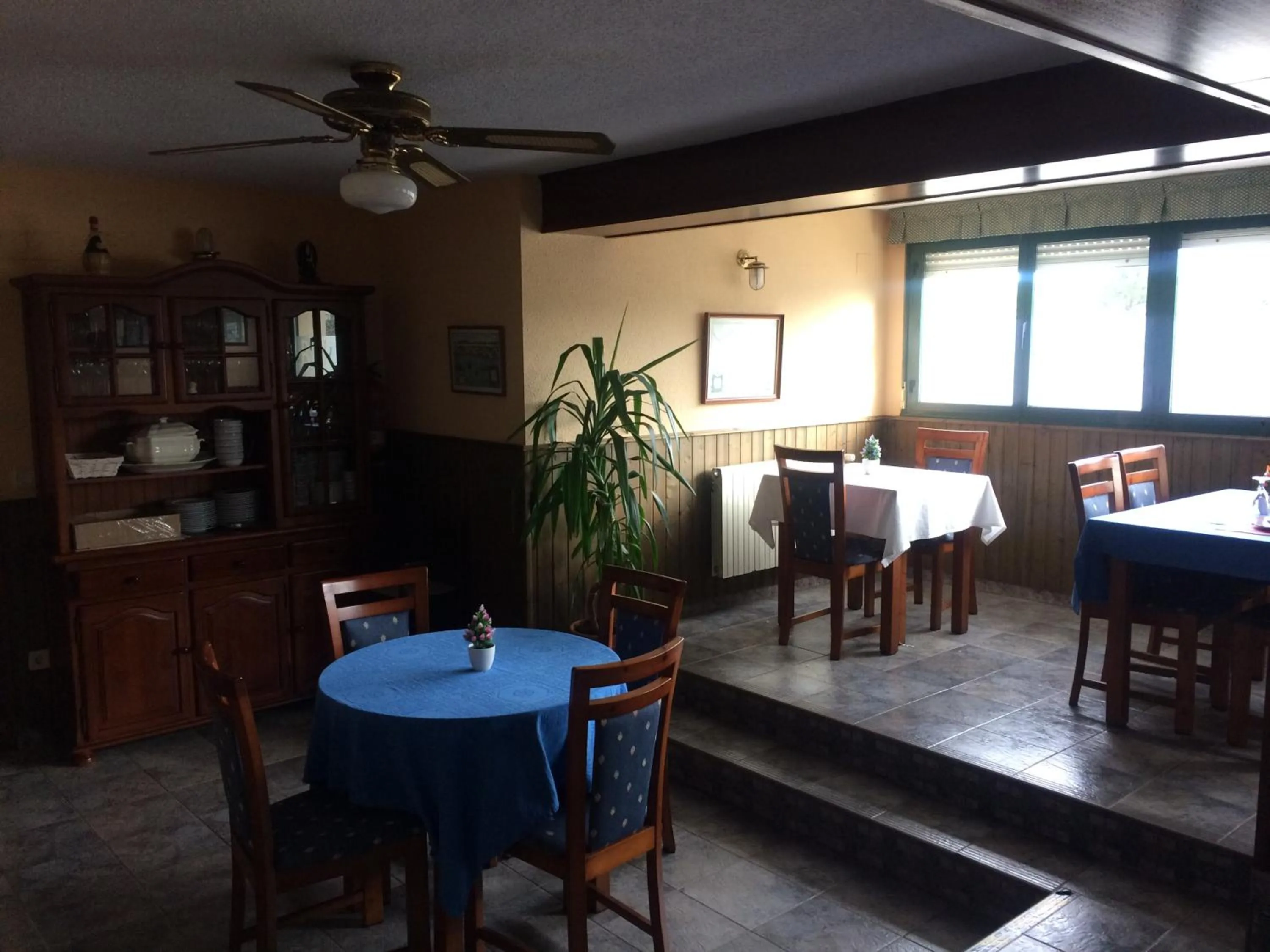 Dining area in Hotel Brisamar