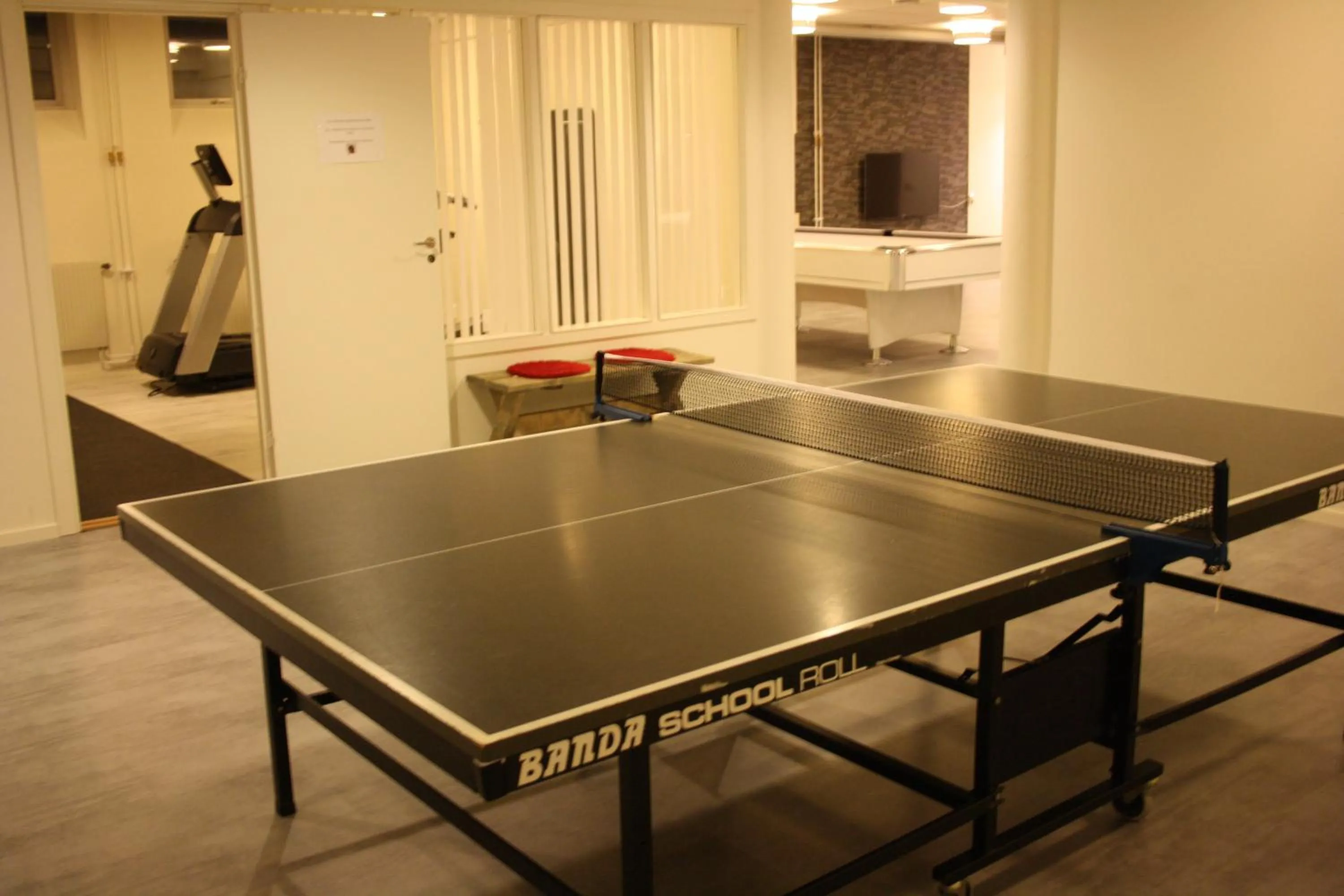 Table tennis in Hotell Lyktan