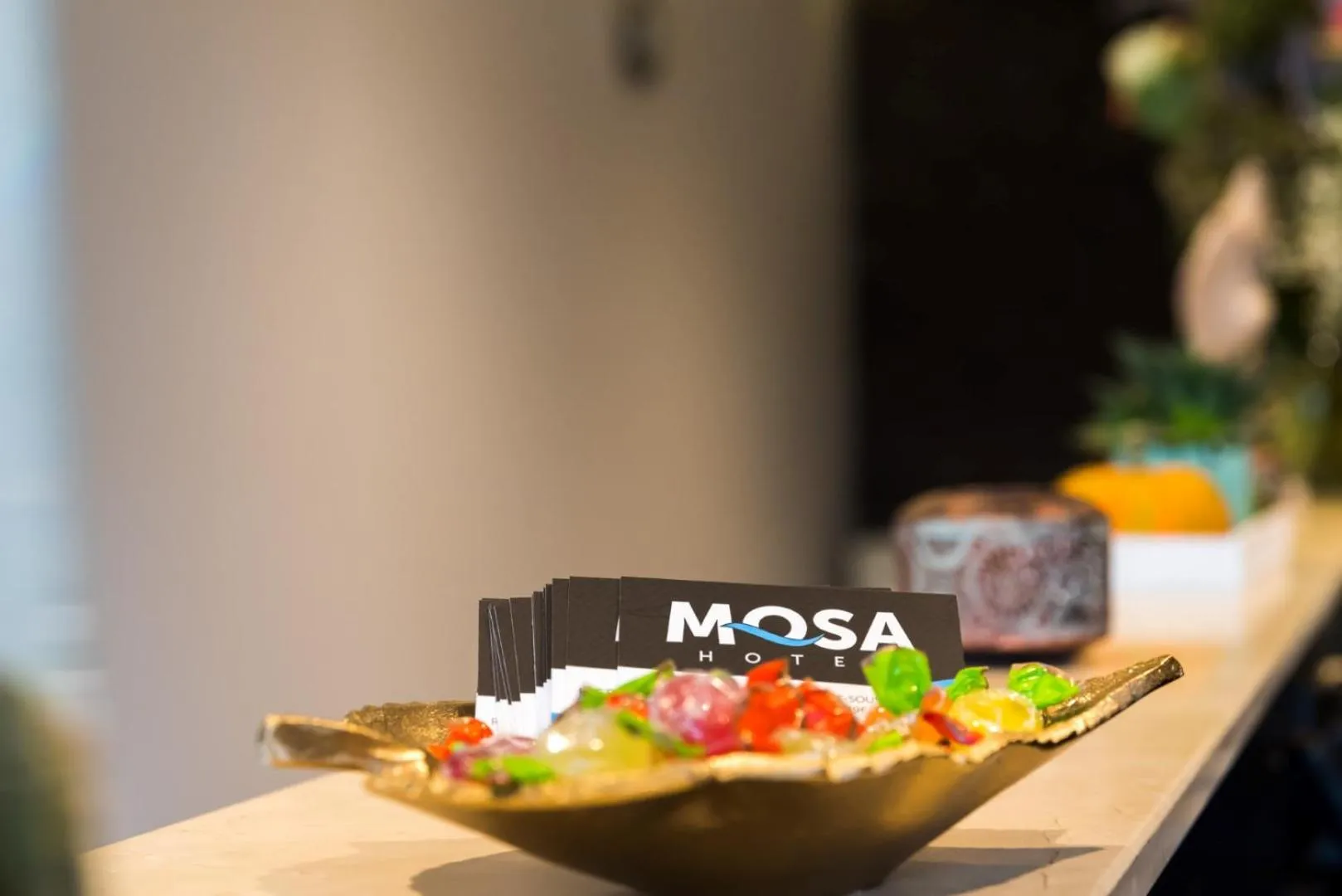 Lobby or reception in Hôtel Mosa