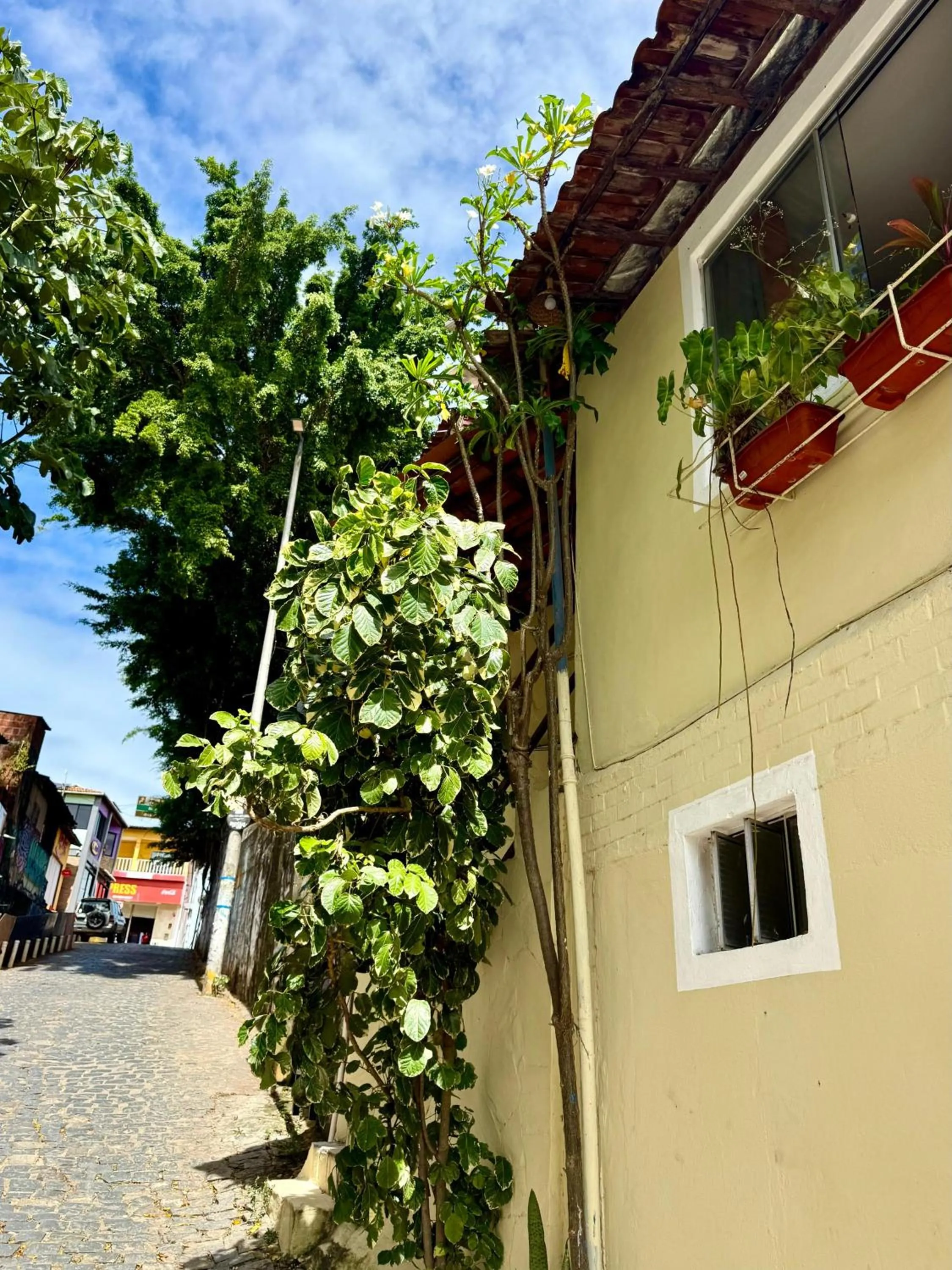 Off site in Cores da pipa flats