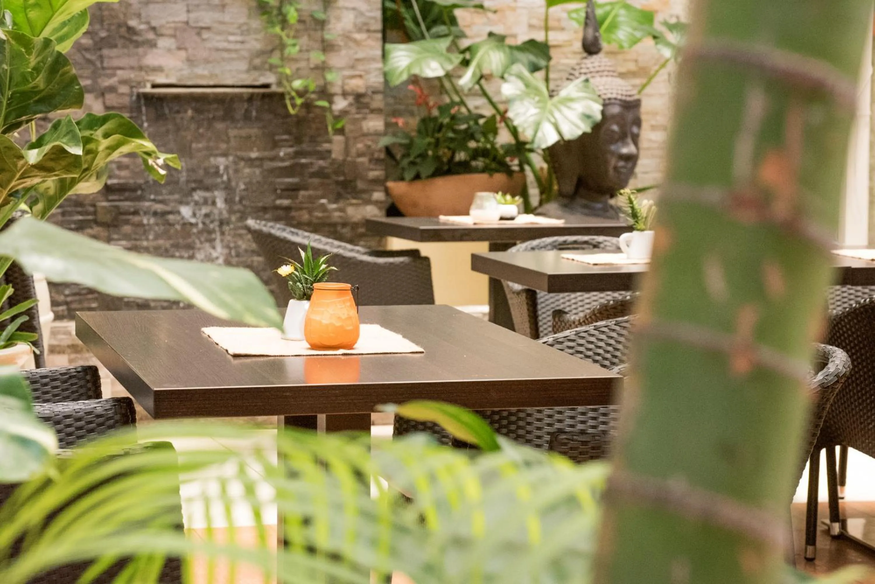 Restaurant/places to eat in Allamanda Hotel