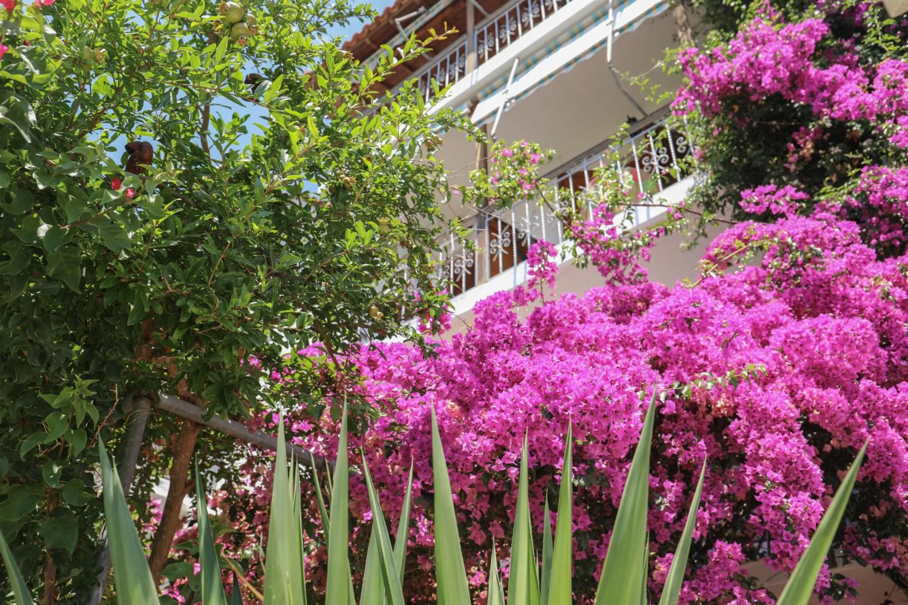 Day in Vaya Zorba Studios