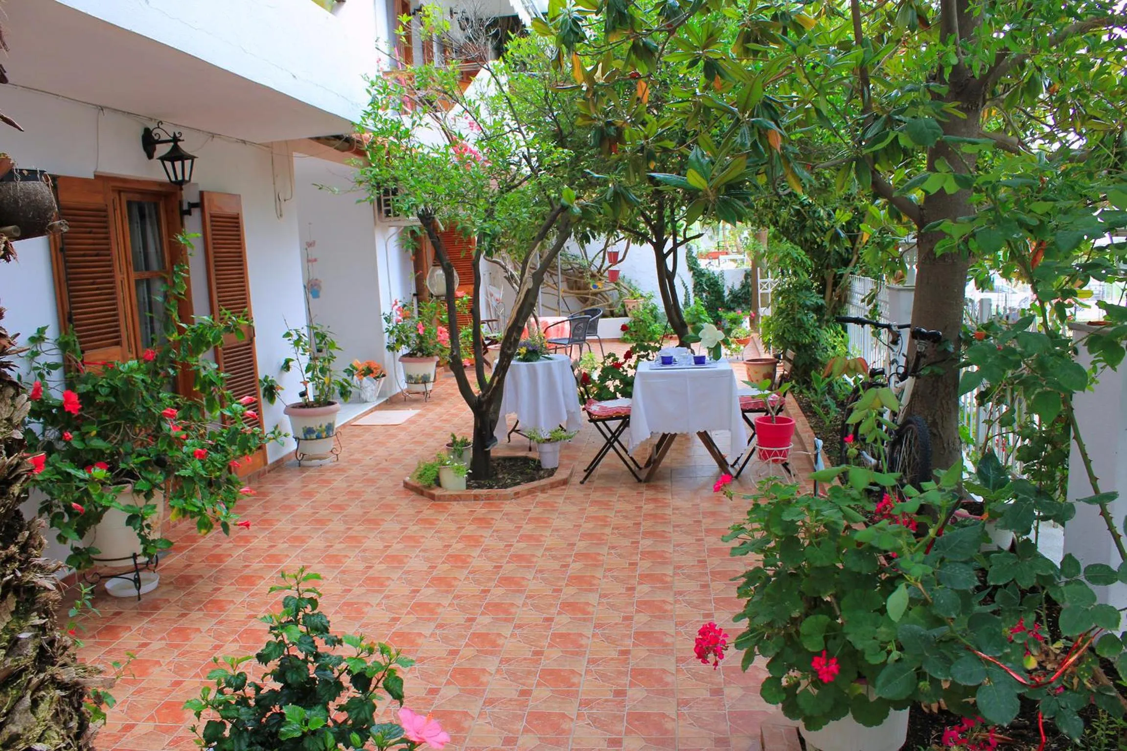 Patio in Vaya Zorba Studios