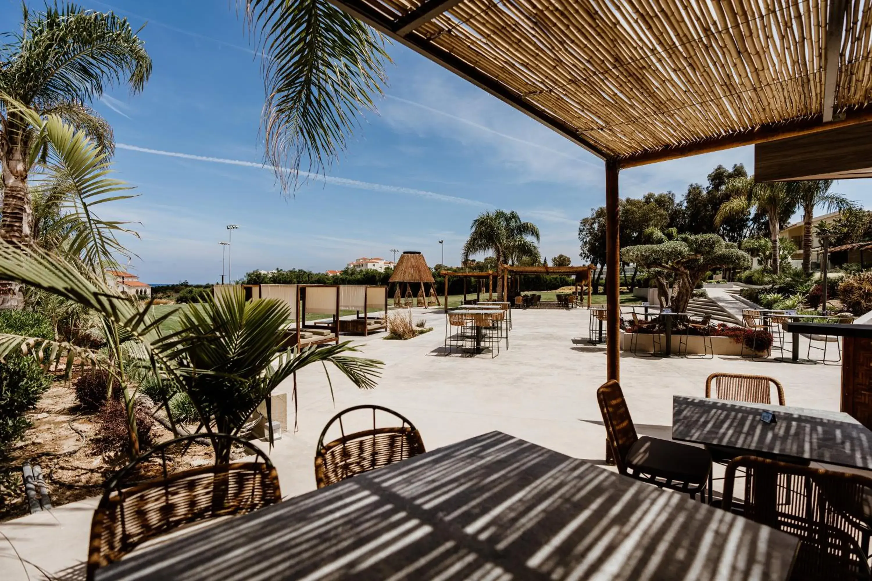 Restaurant/places to eat in Cavo Zoe Seaside Hotel Restaurant/places to eat in Cavo Zoe Seaside Hotel