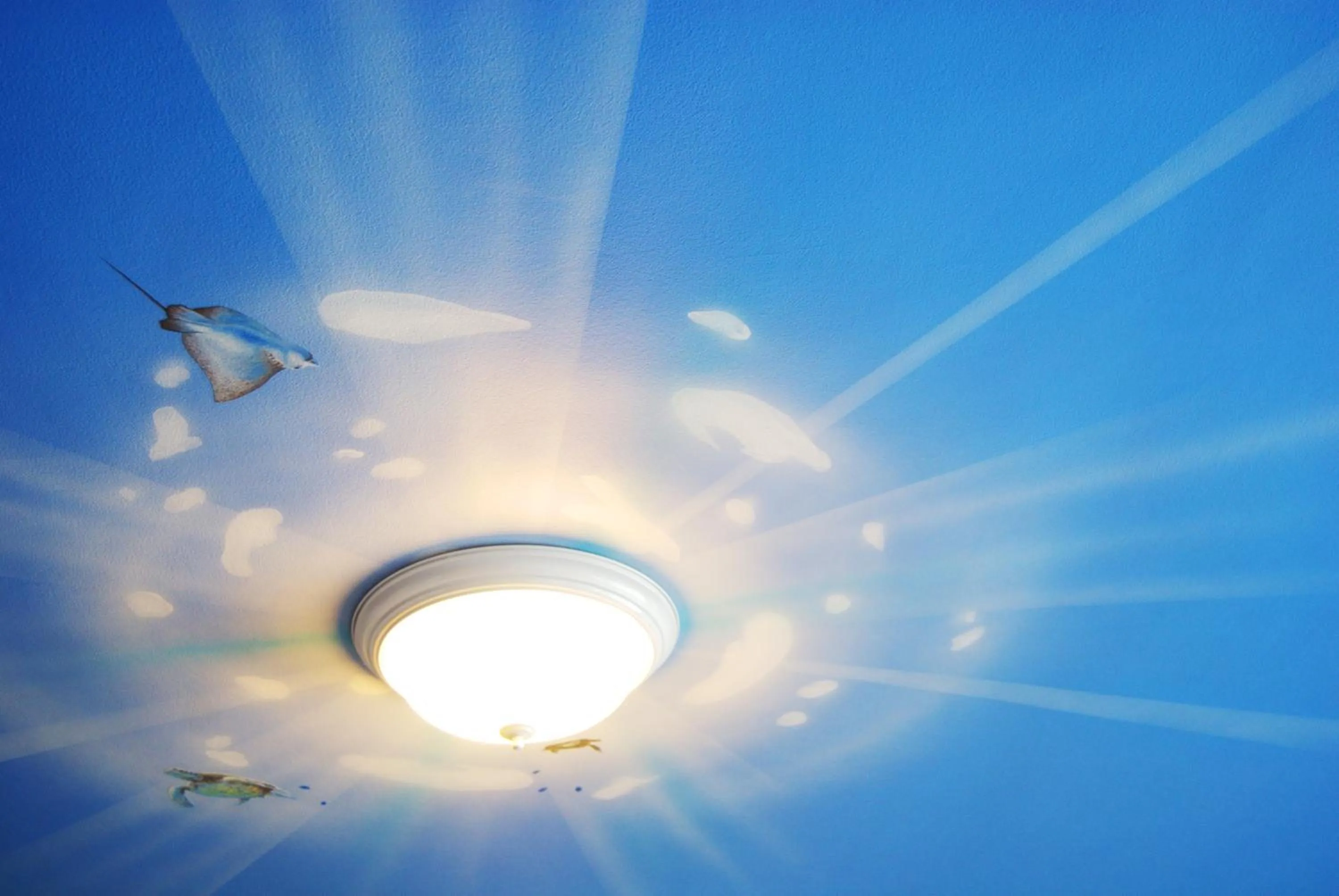 Decorative detail in Holiday Surf Hotel (with full kitchen)