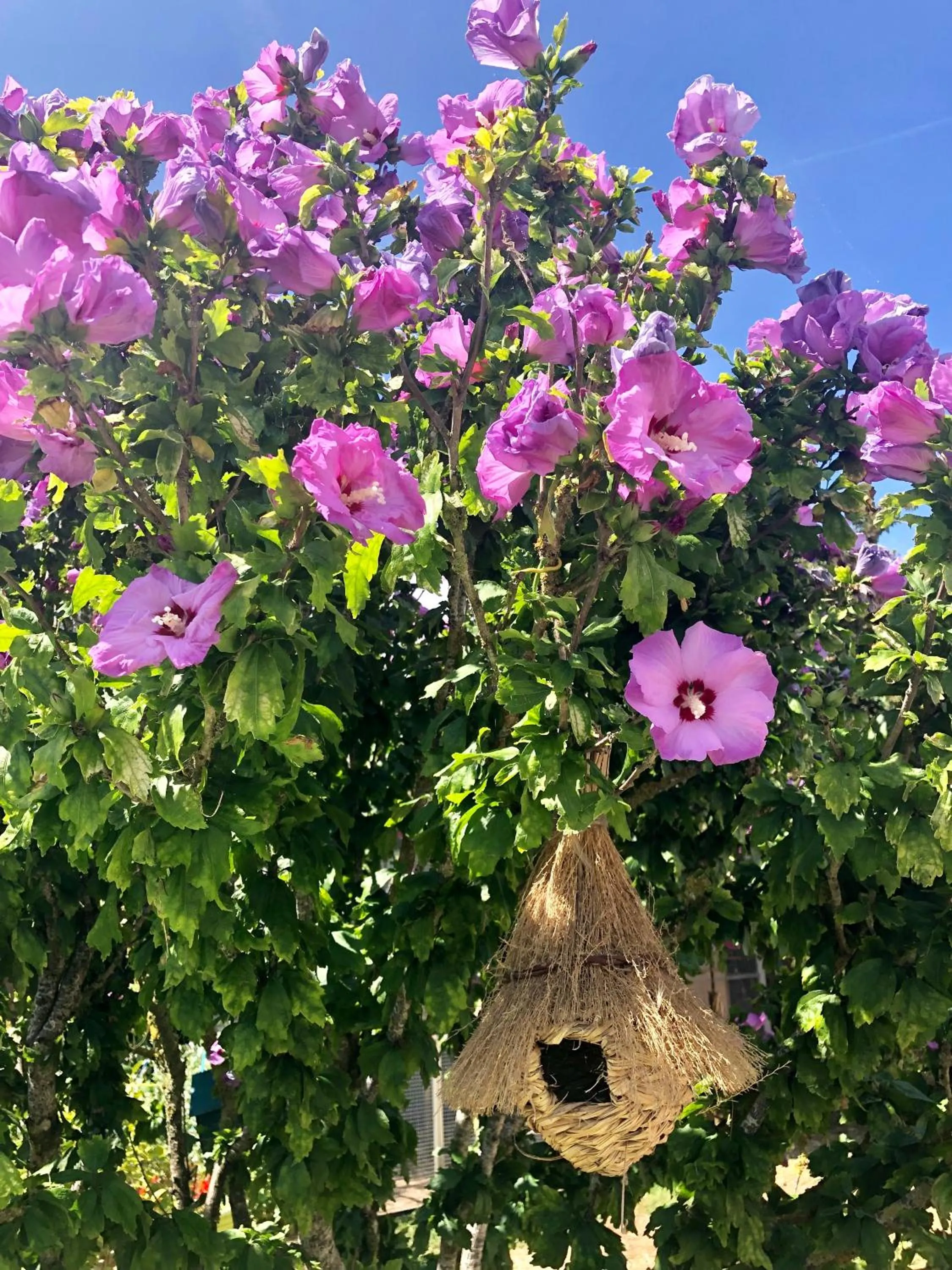 Property building in La Korrigane