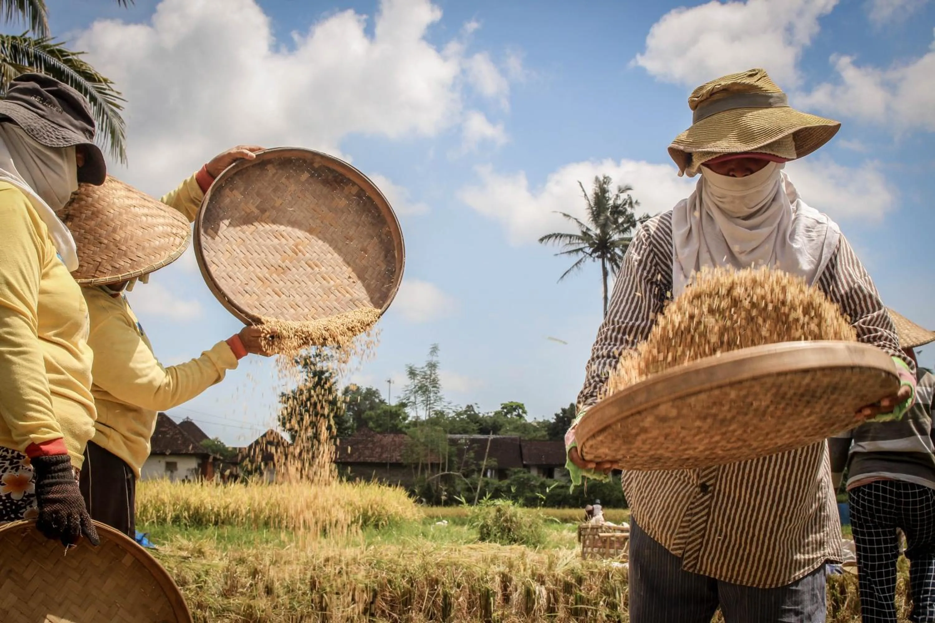 Activities in Keliki Luxury Lodge