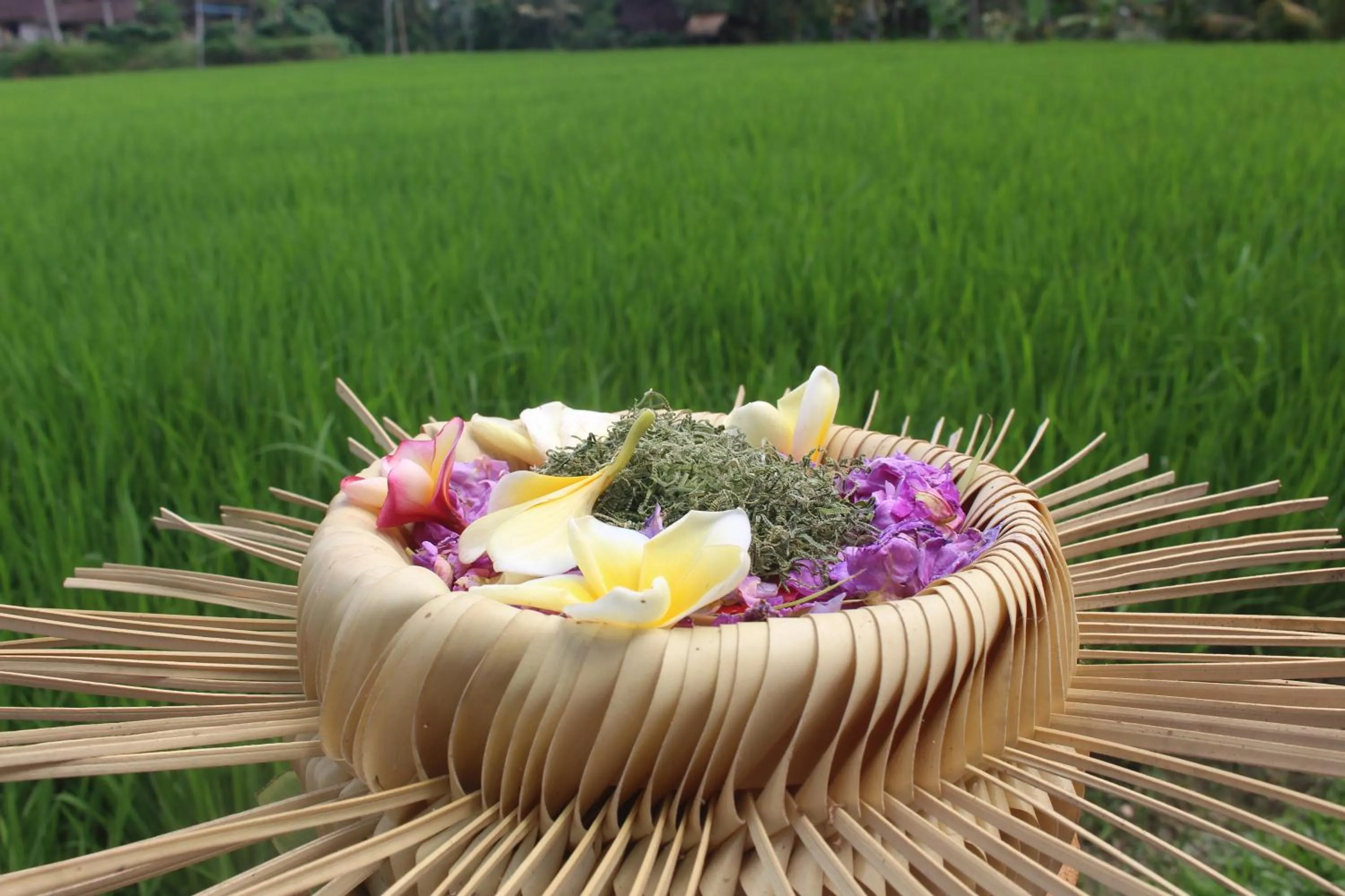 Activities in Keliki Luxury Lodge