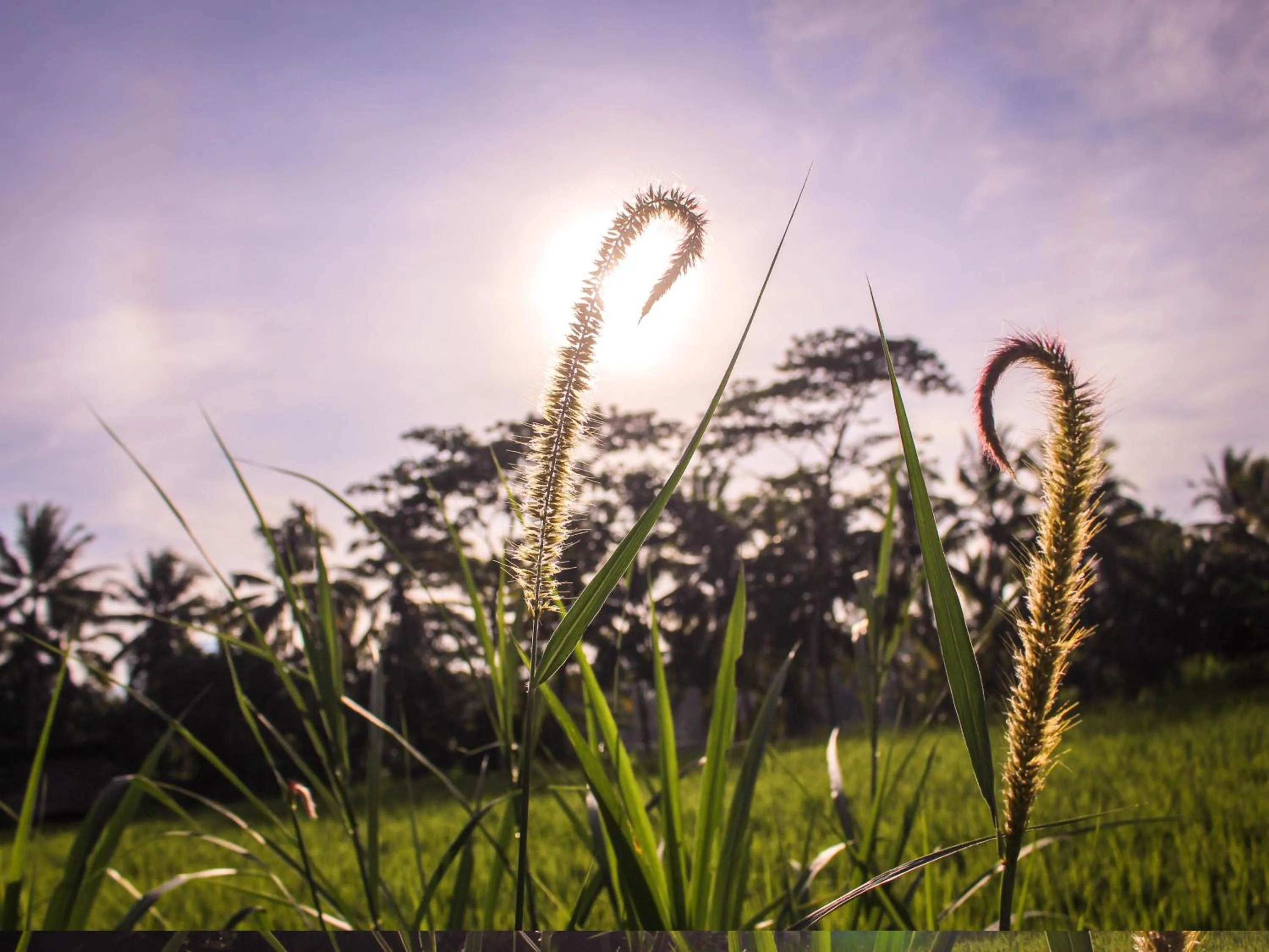 Other in Keliki Luxury Lodge