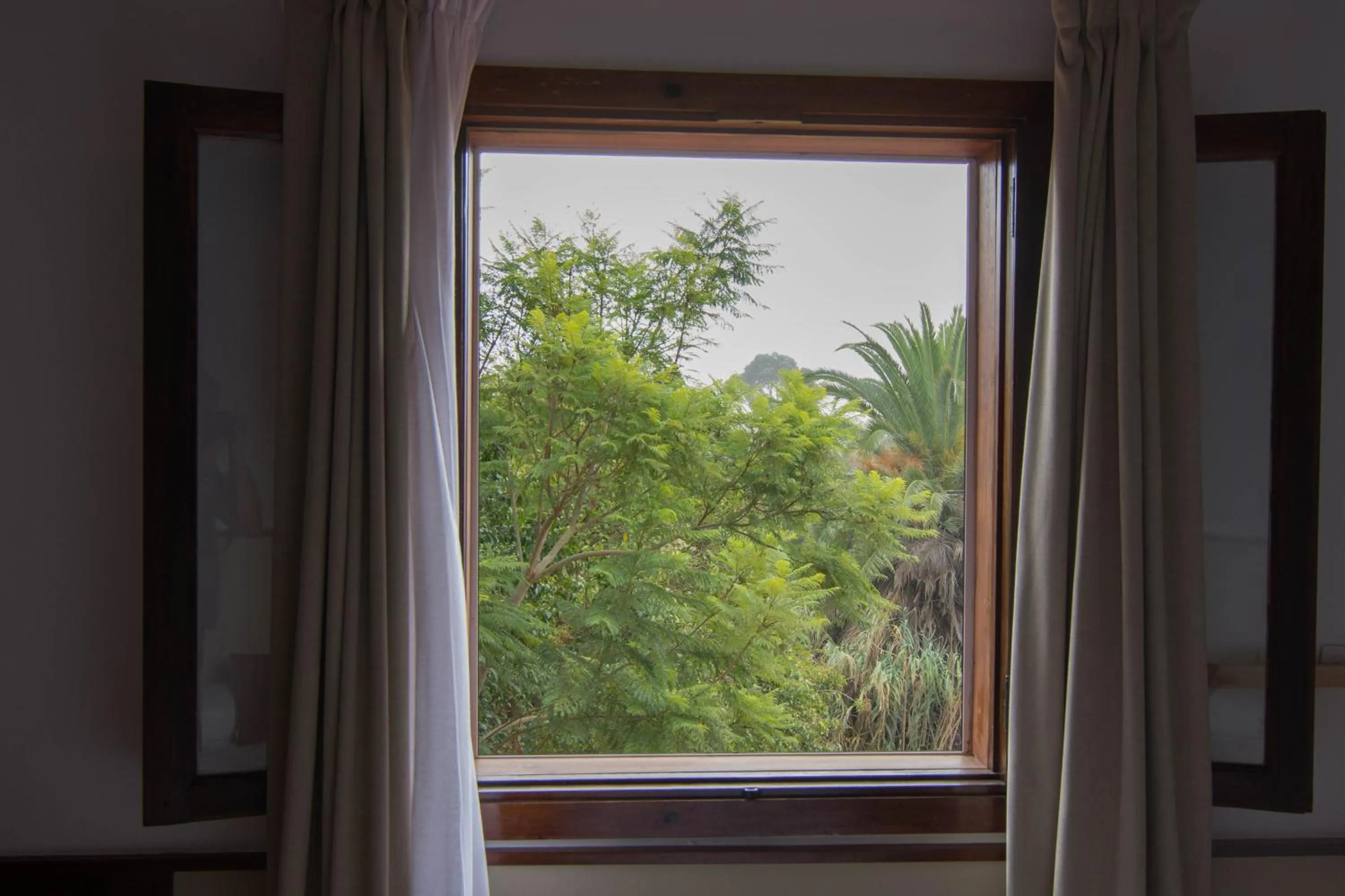 Garden view in Villa María