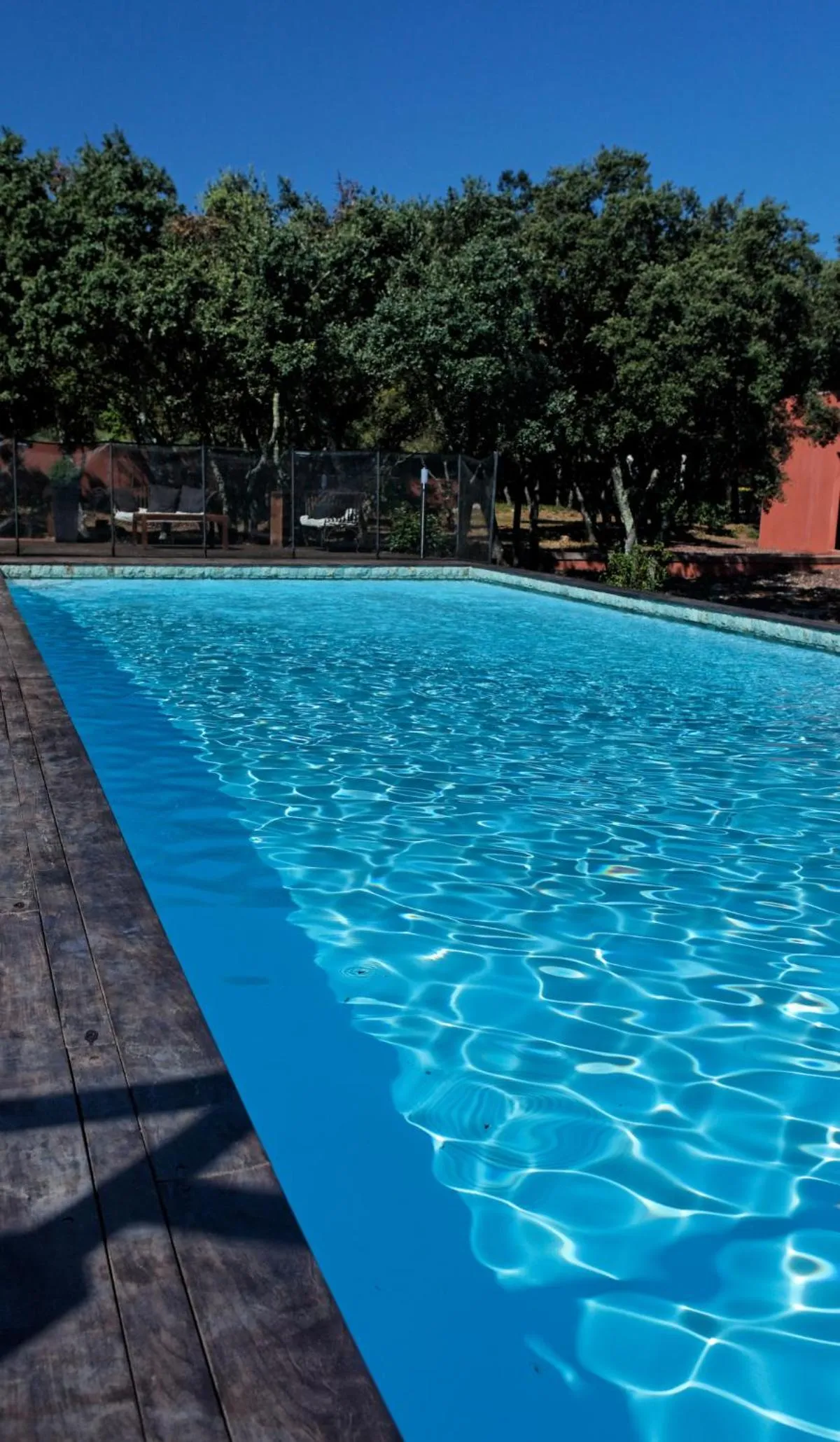 Restaurant/places to eat in Hotel restaurant Spa Disini Montpellier Est, The Originals Relais