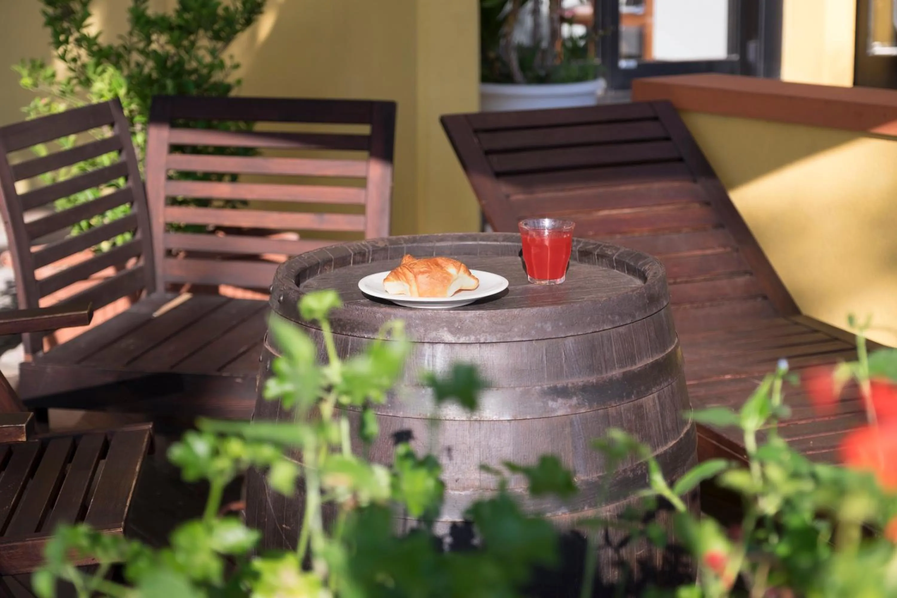 Garden in Hotel Mignon Riccione Fronte Mare