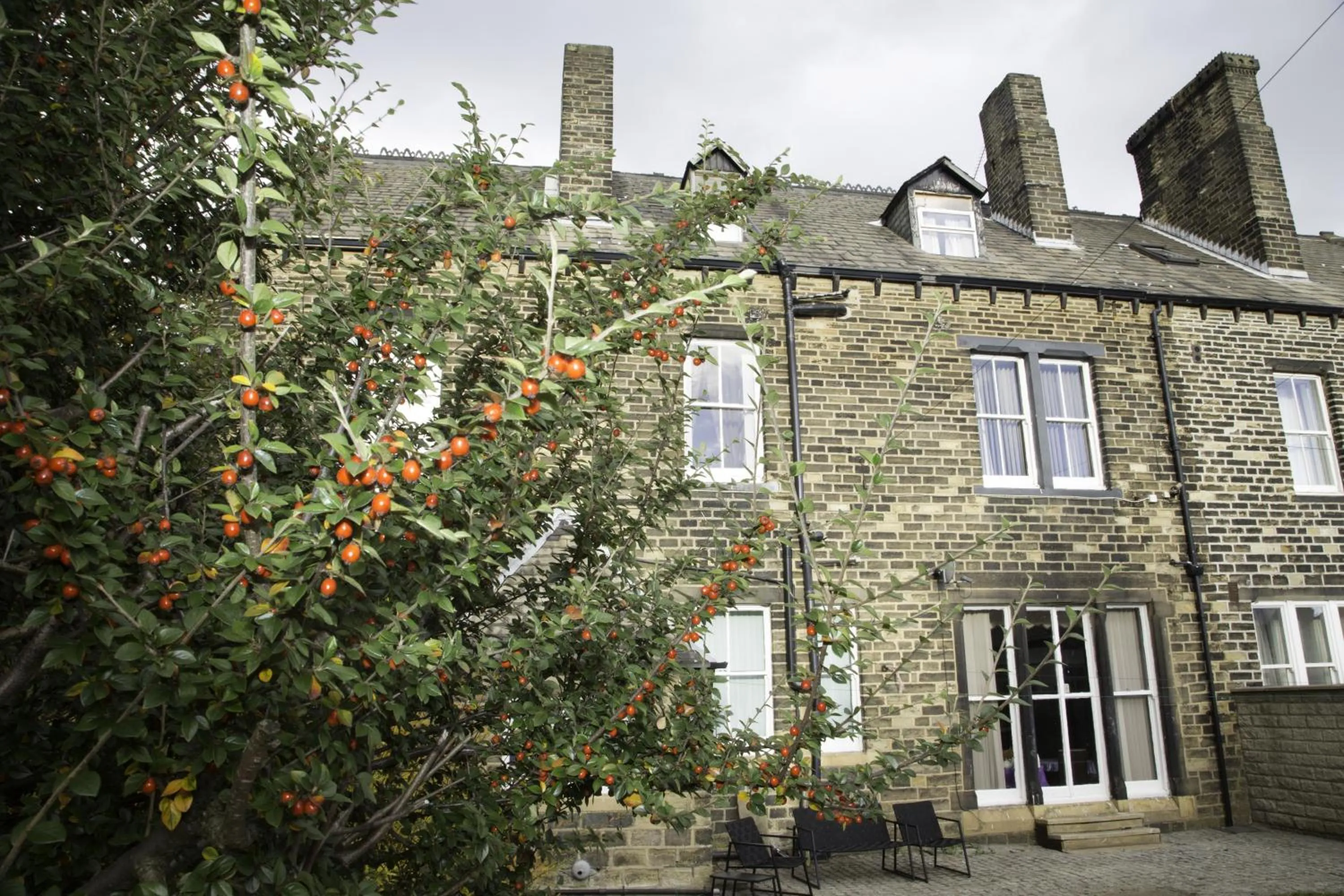 Garden in Ashfield Hotel