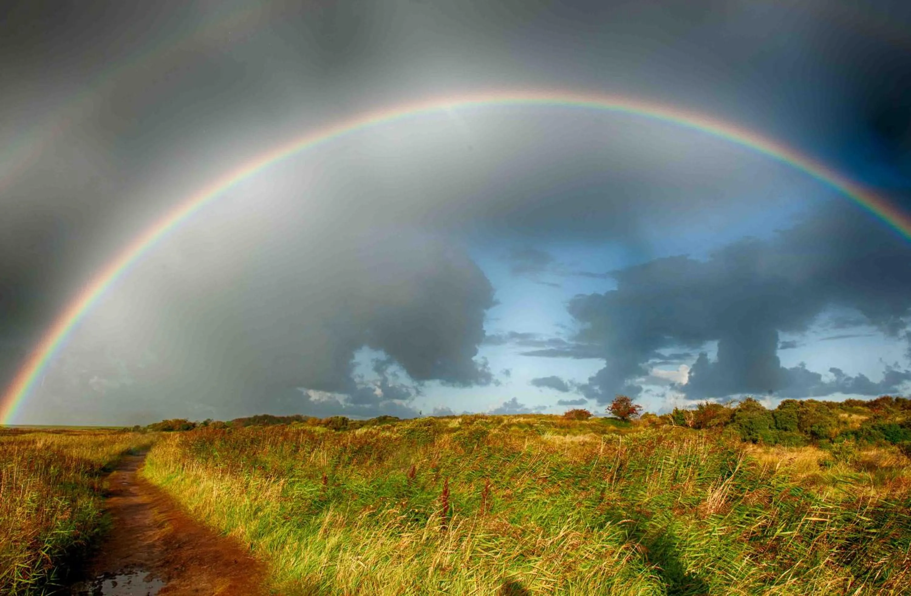 INSEL-LAND-HOTEL MICHAELSEN -Boutique Hotel- im Ostland mit Yoga u Sauna