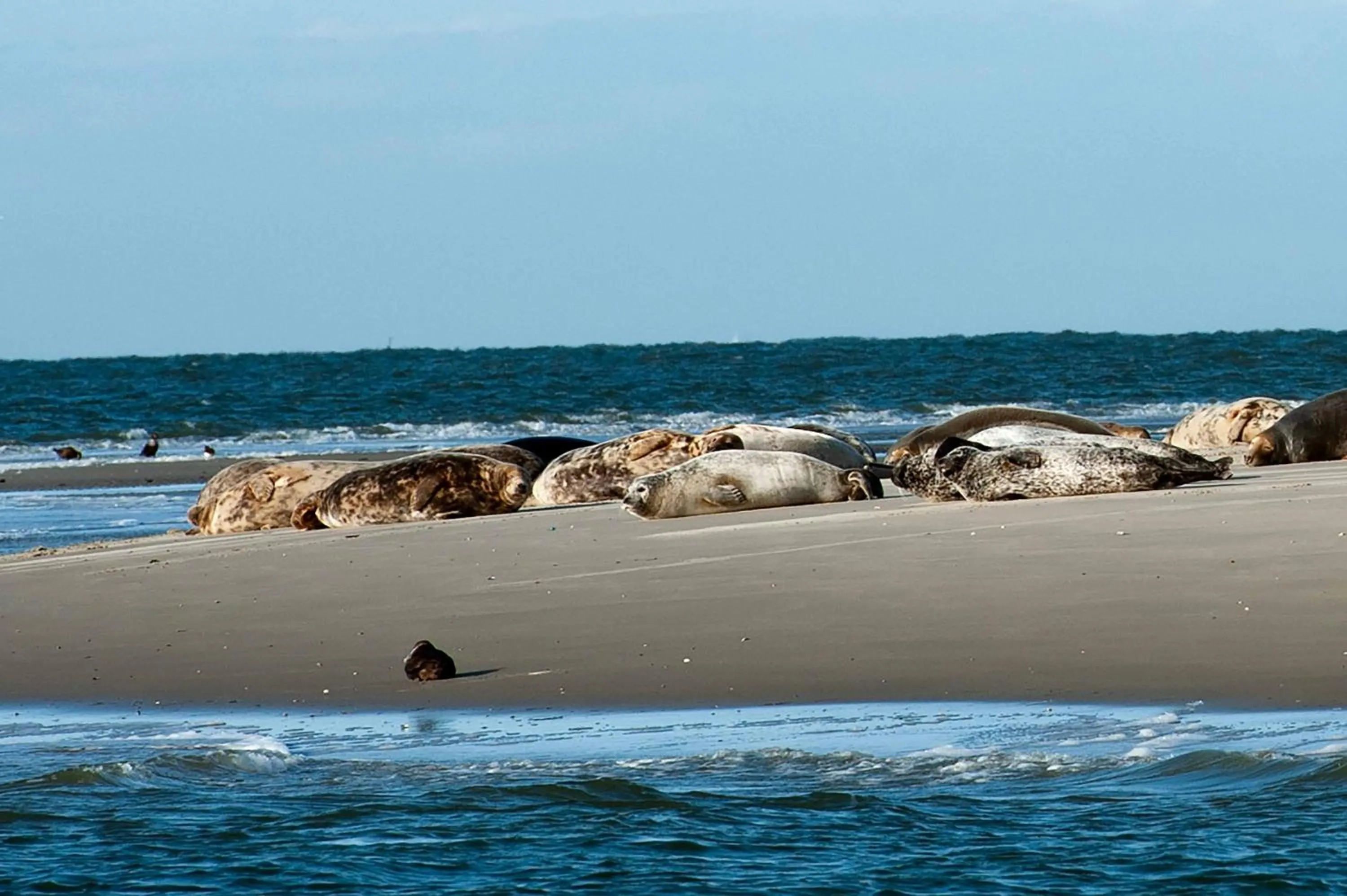 INSEL-LAND-HOTEL MICHAELSEN -Boutique Hotel- im Ostland mit Yoga u Sauna