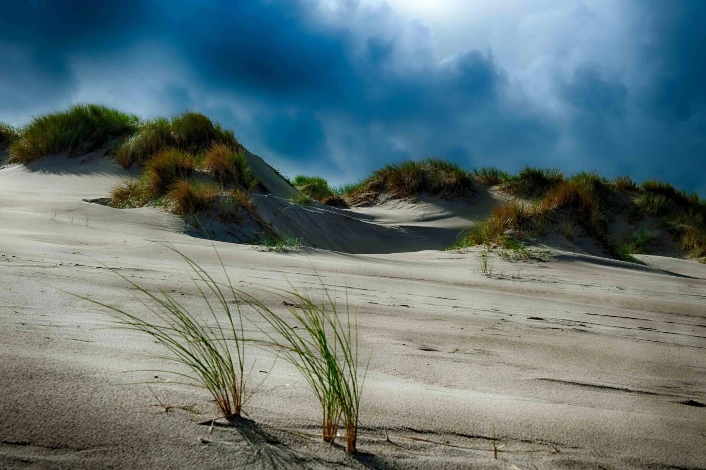 INSEL-LAND-HOTEL MICHAELSEN -Boutique Hotel- im Ostland mit Yoga u Sauna