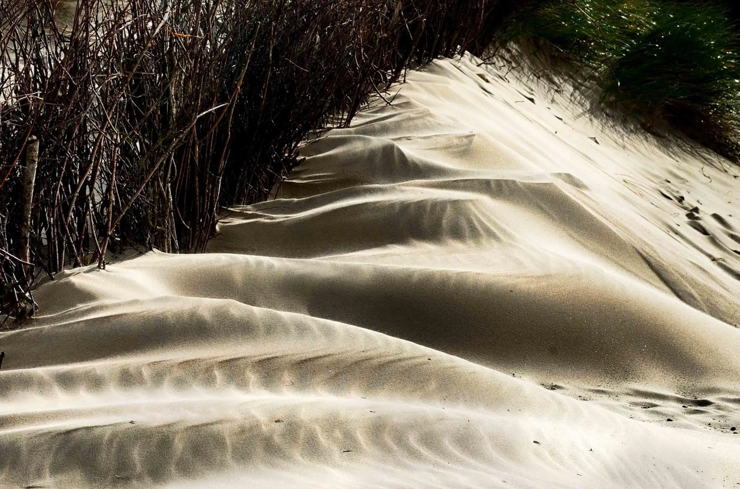 INSEL-LAND-HOTEL MICHAELSEN -Boutique Hotel- im Ostland mit Yoga u Sauna