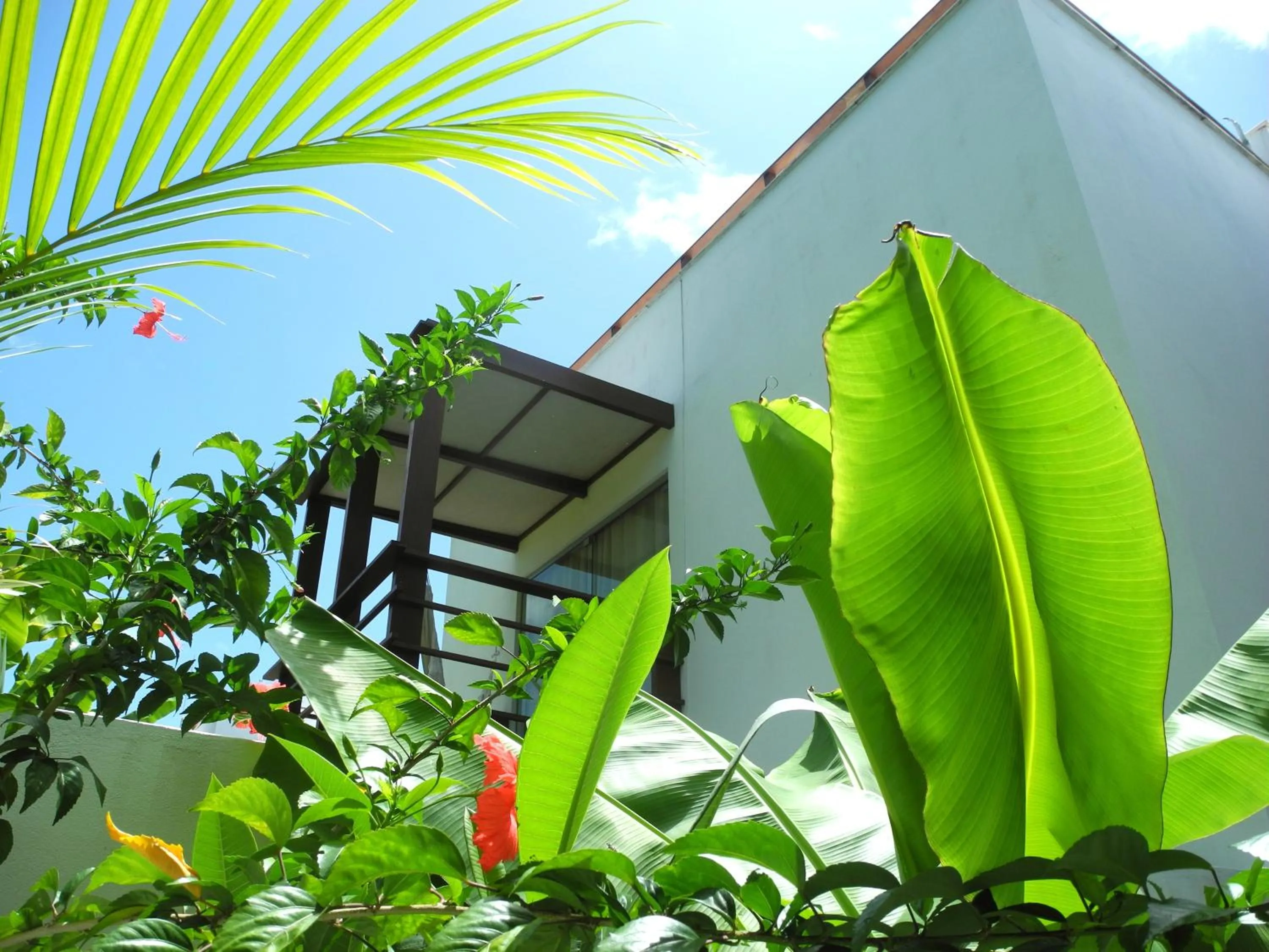 View (from property/room) in La Reserve Design Villa IDA