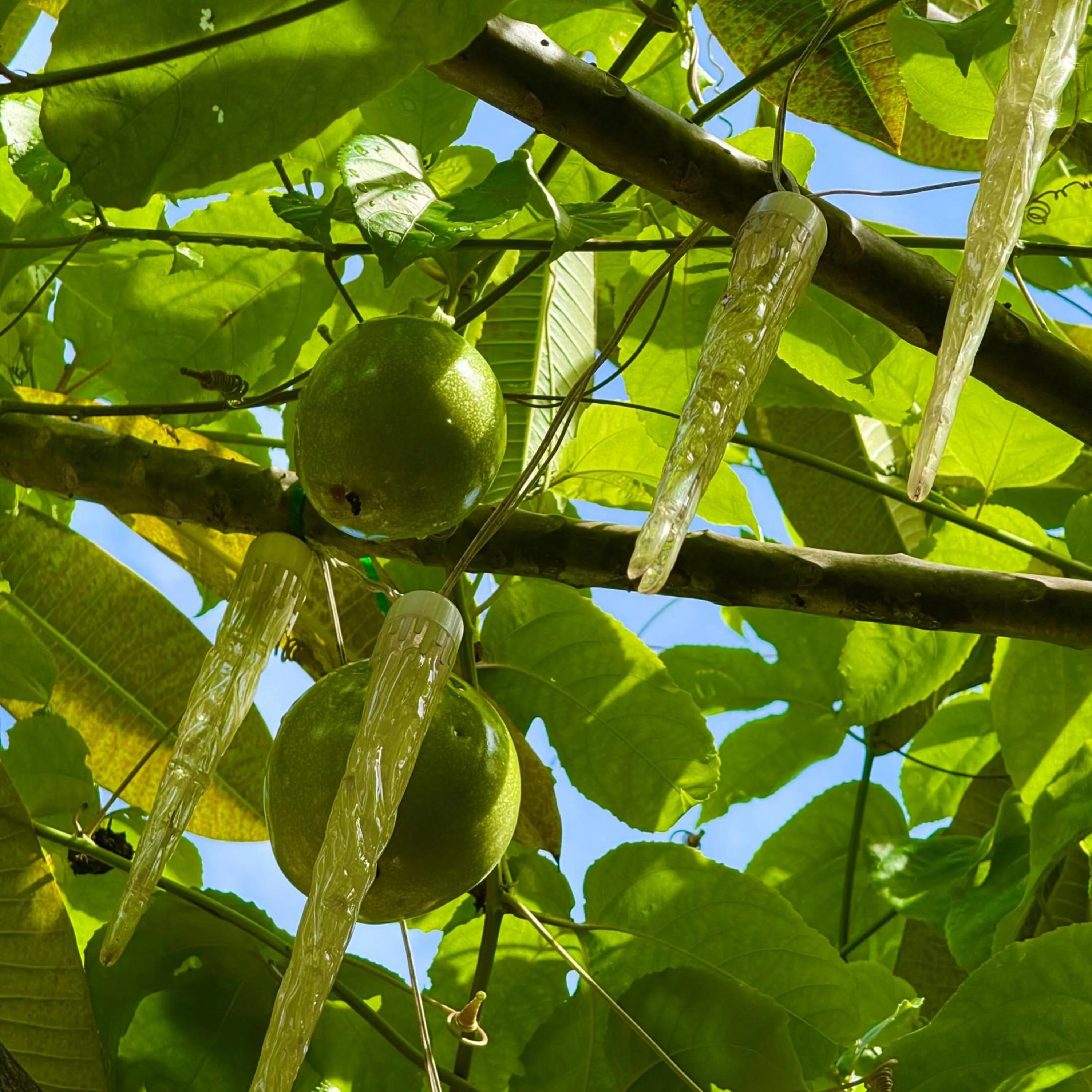 View (from property/room) in La Reserve Design Villa IDA
