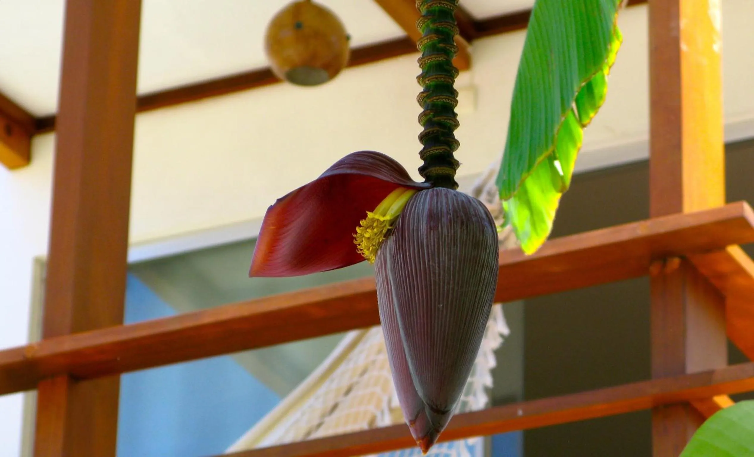 Other in La Reserve Design Villa IDA