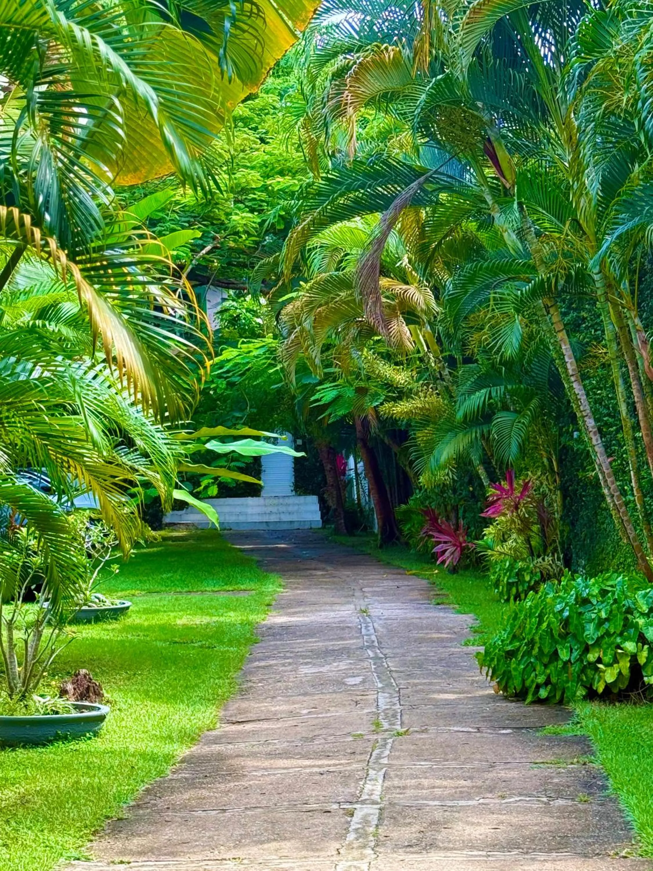 View (from property/room) in La Reserve Design Villa IDA