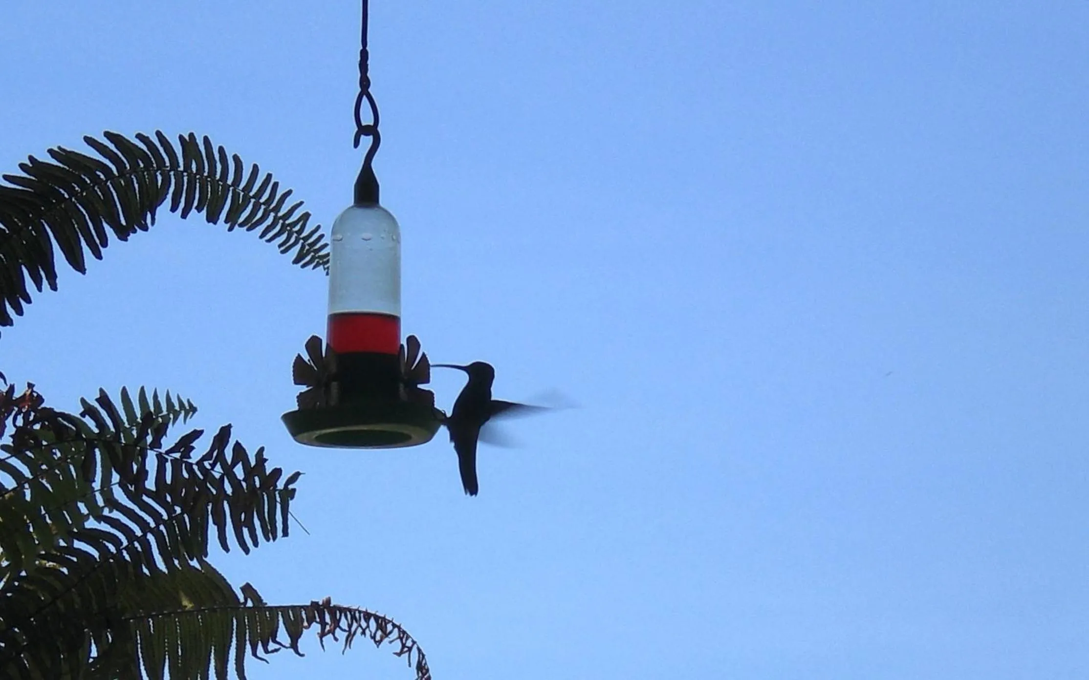 Other in La Reserve Design Villa IDA