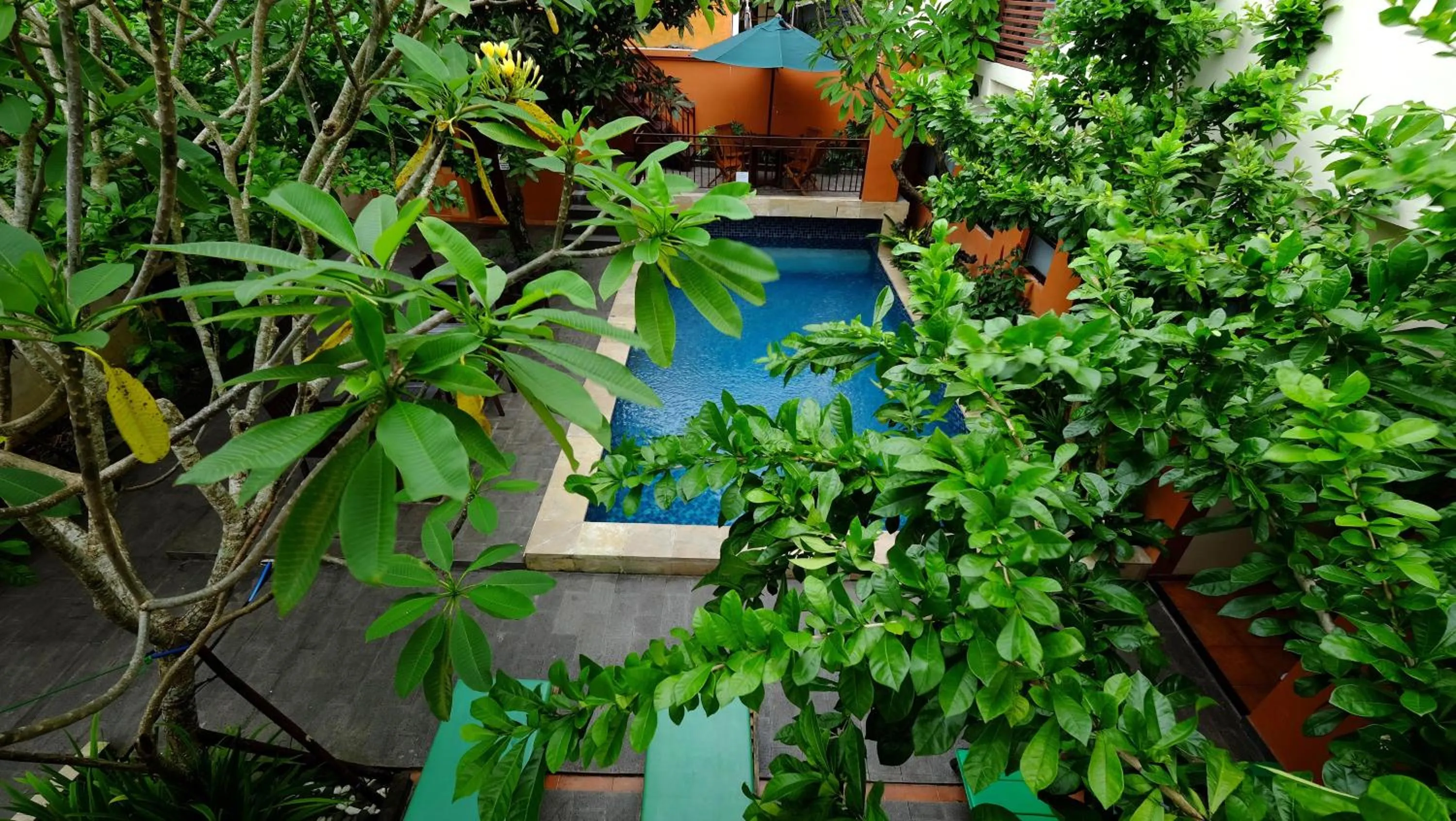 Day in The Hill Ungasan