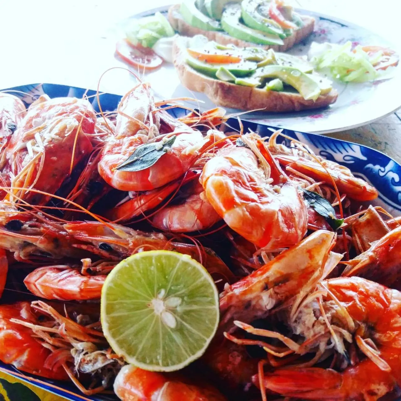 Malika's Yellow House