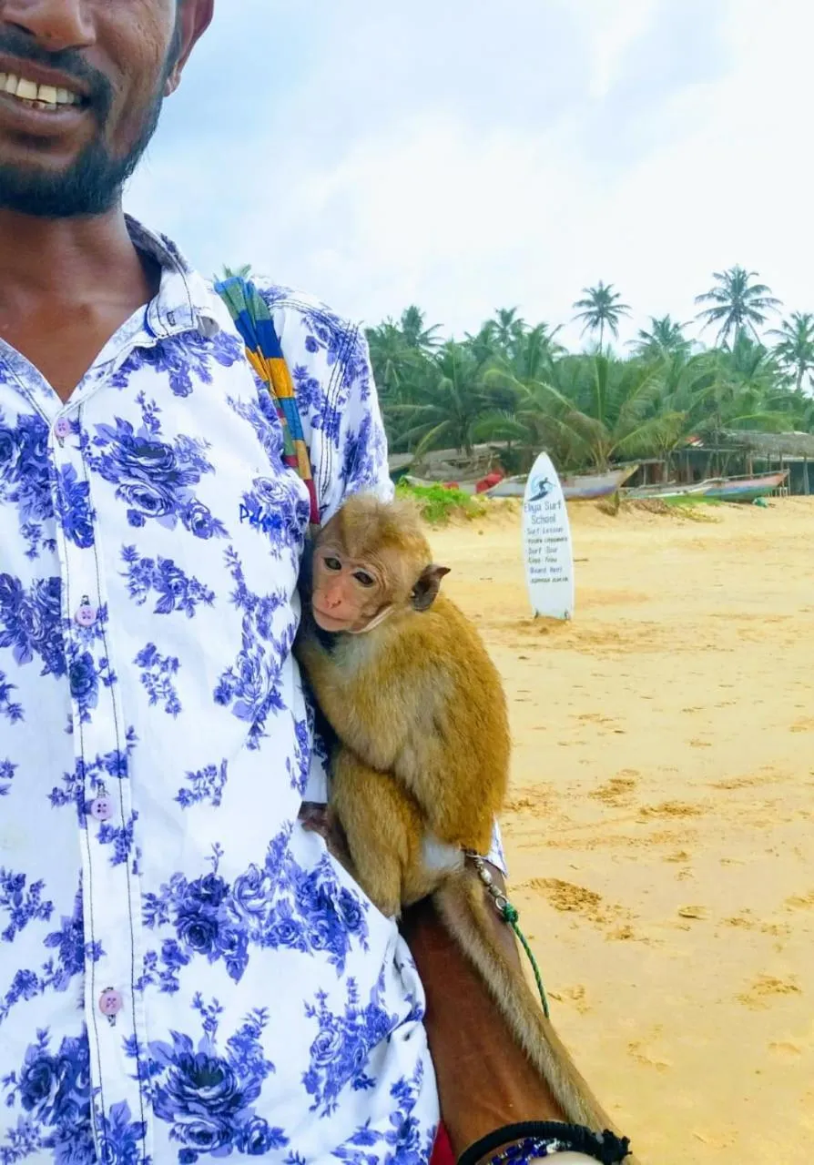 Malika's Yellow House