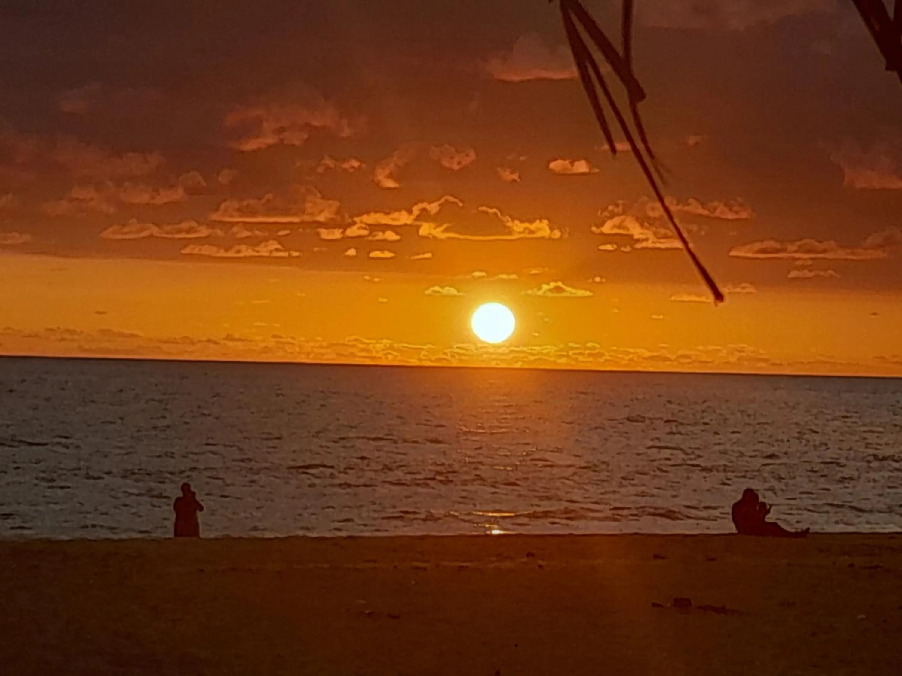 Malika's Yellow House