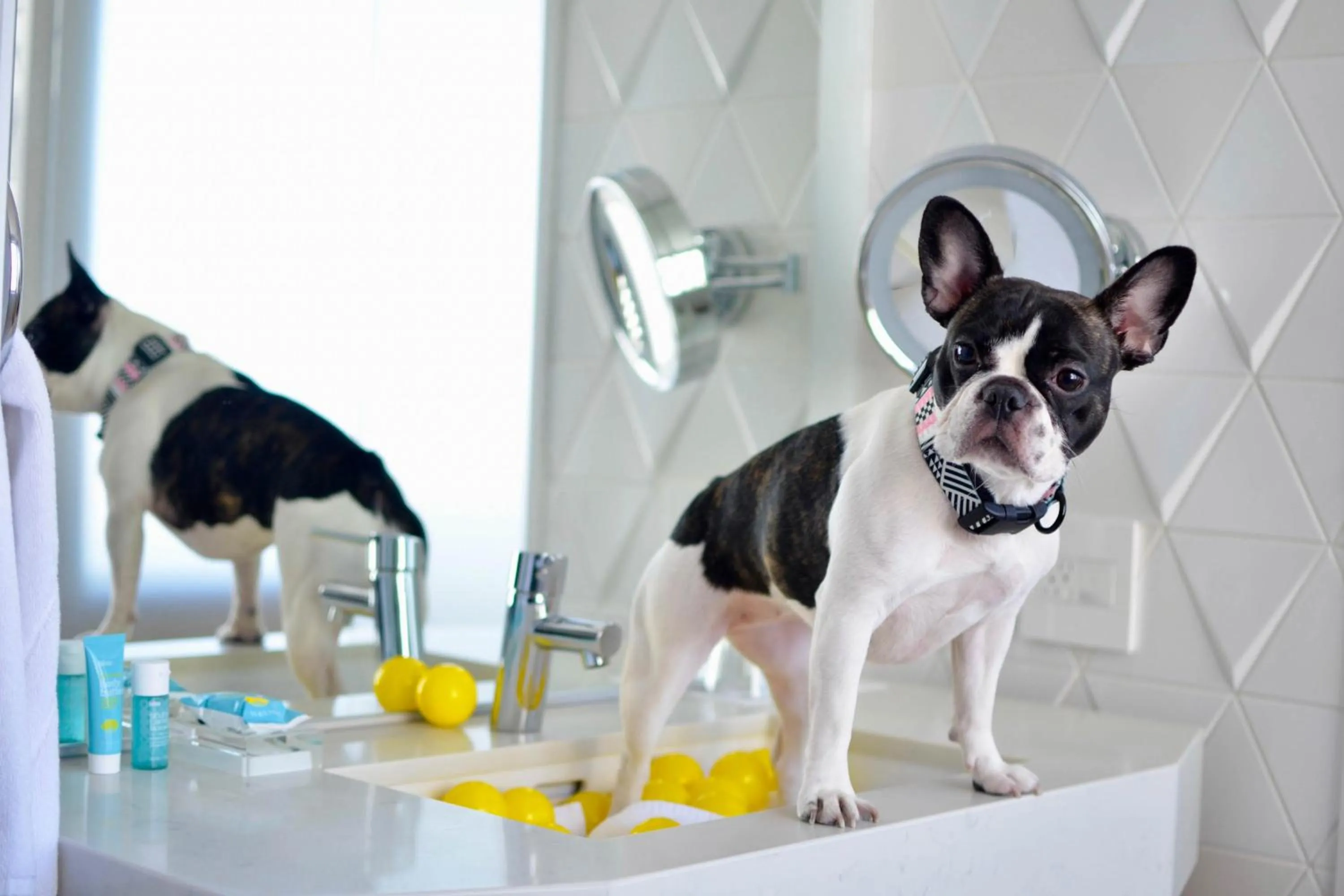 Other in W San Francisco