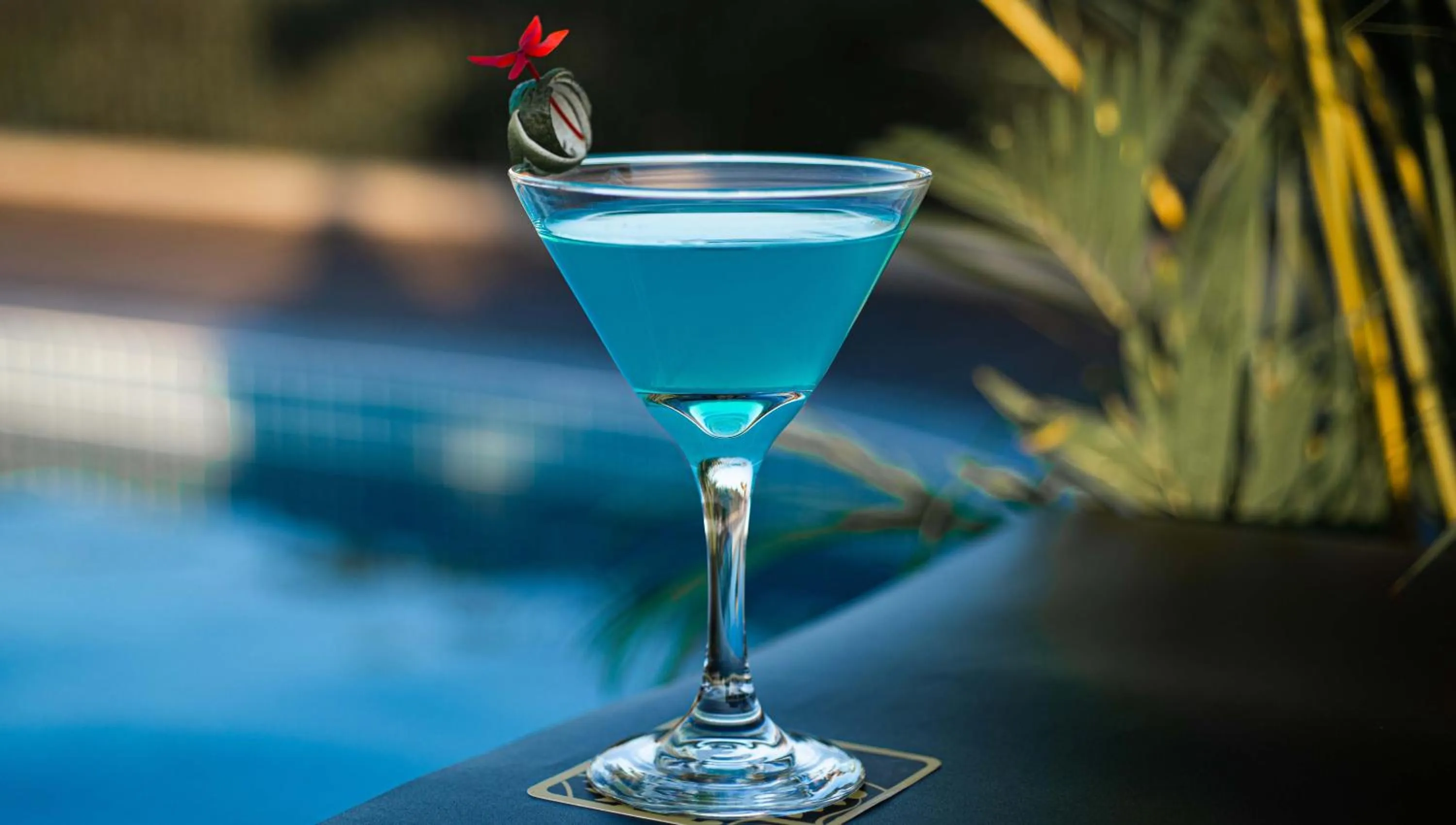 Drinks in The Twizt - Lifestyle Hostel & Hotel