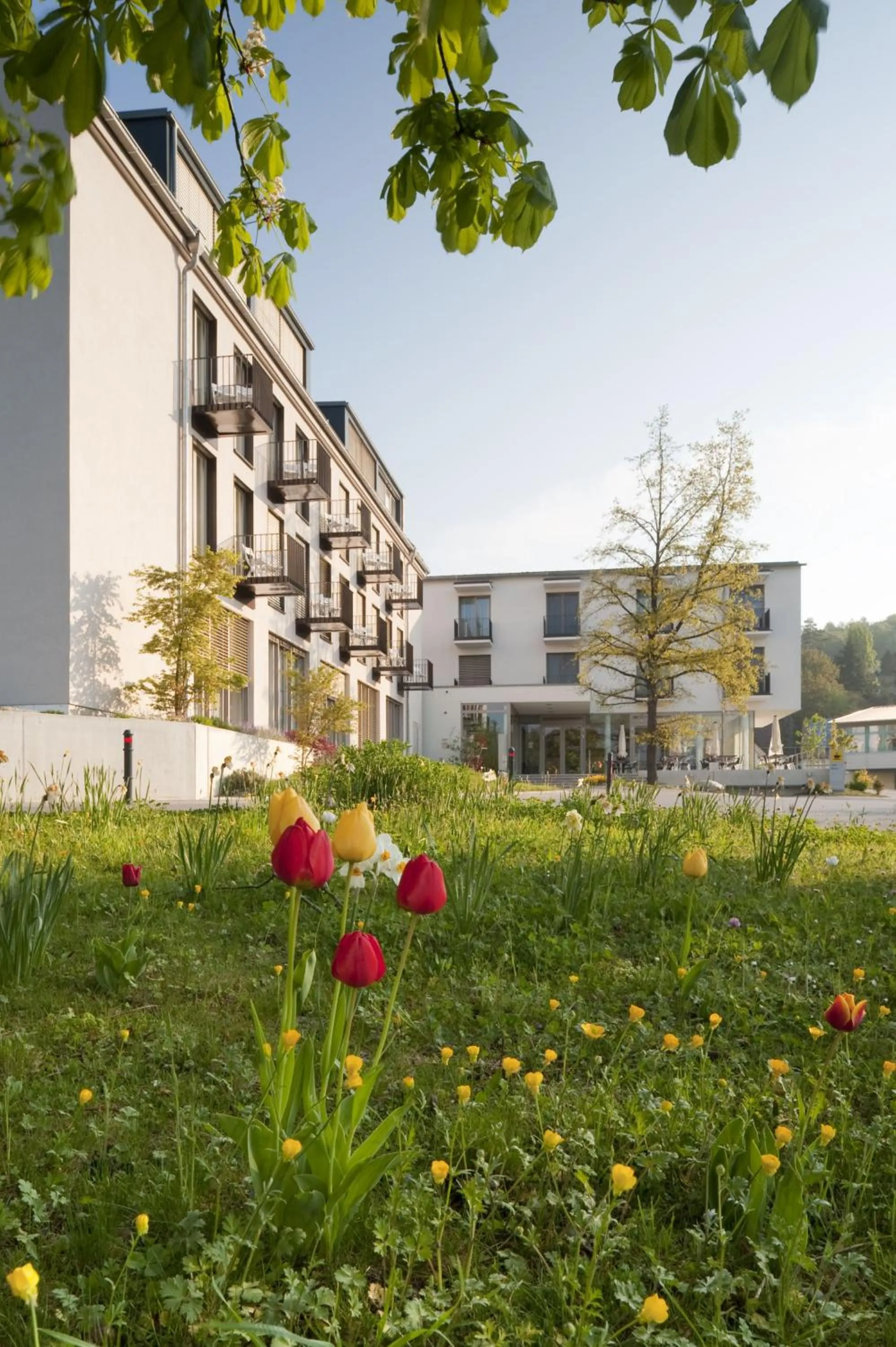 Property building in Hotel St Elisabeth